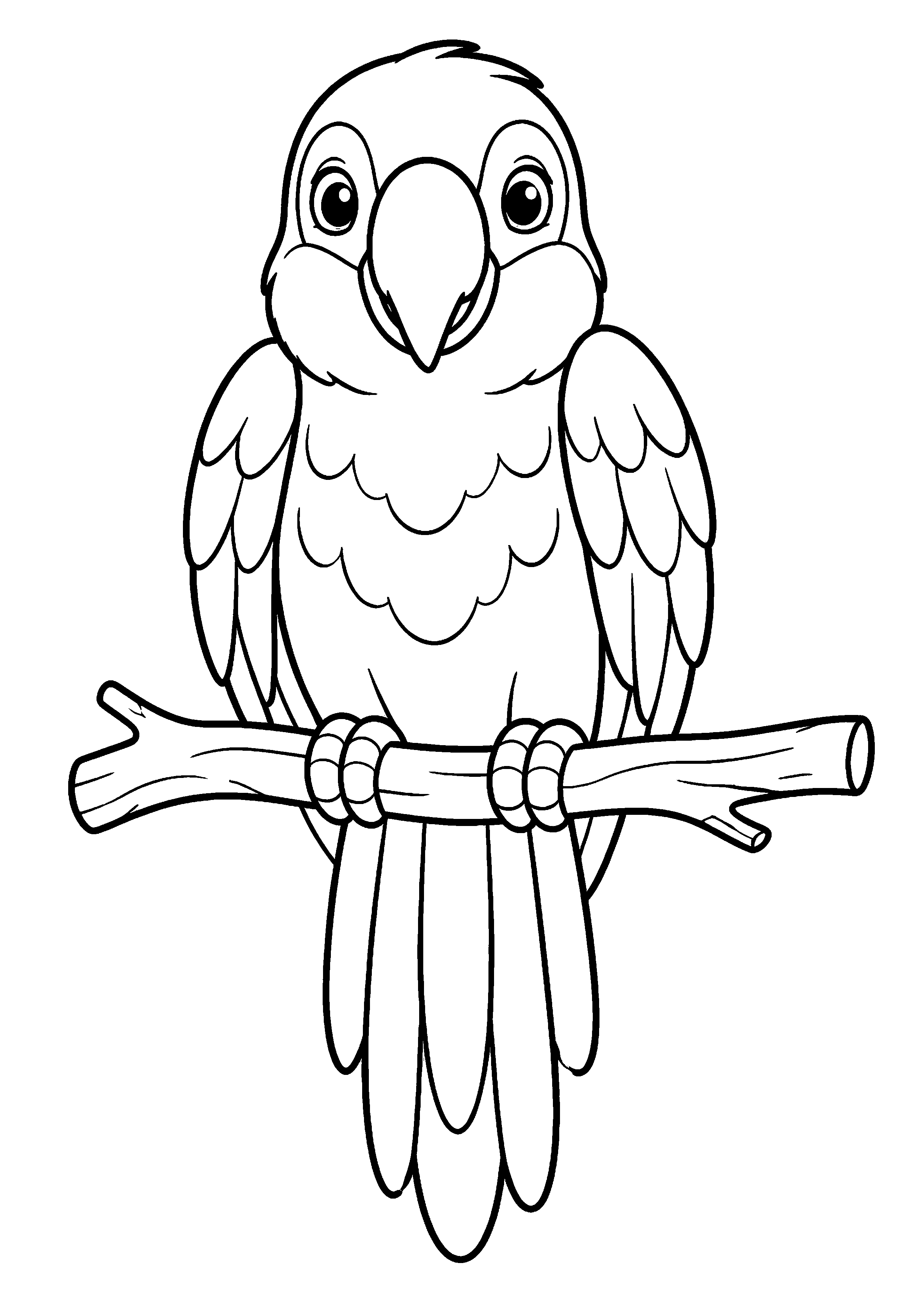 Coloriage Perroquet