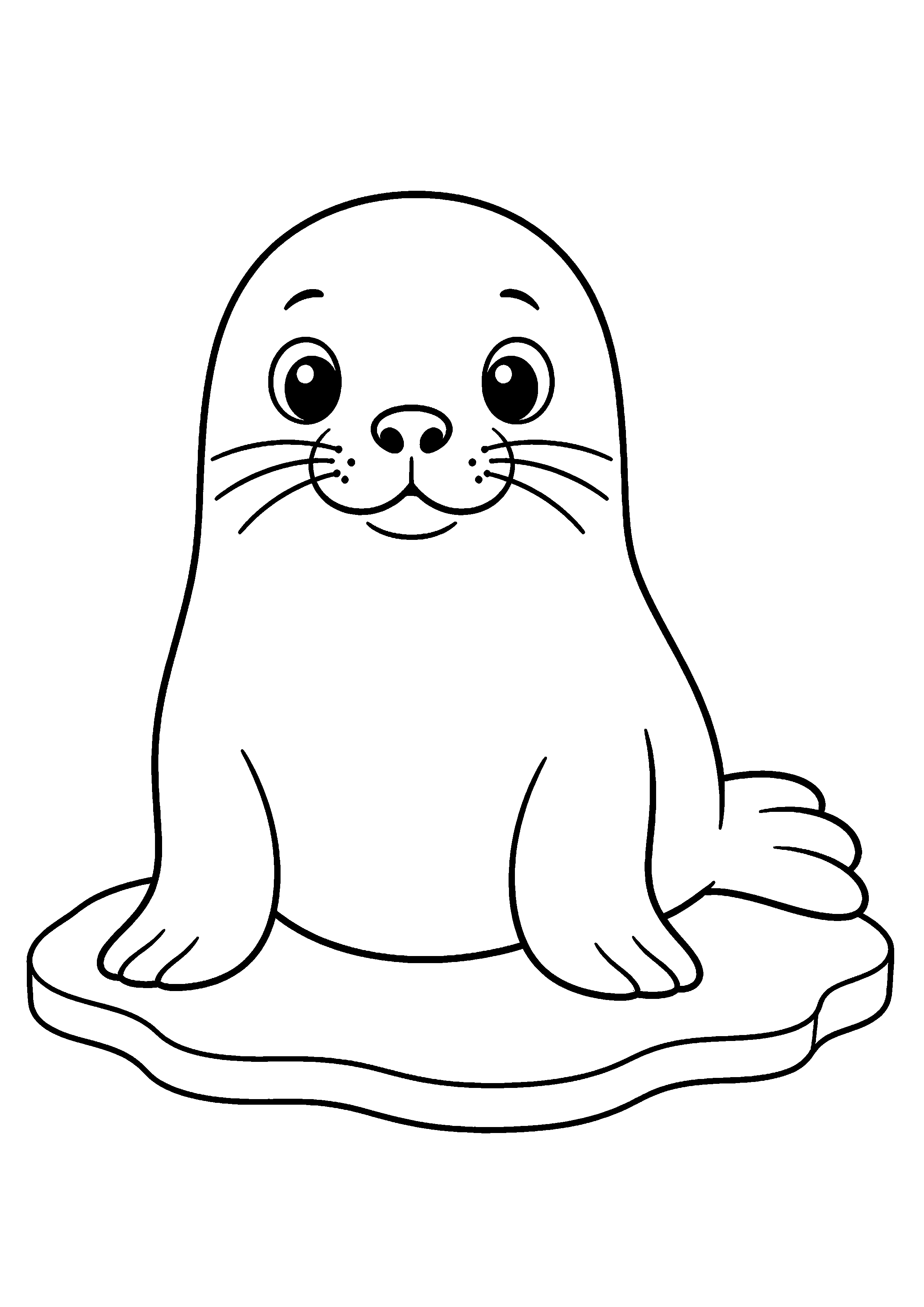 Coloriage Phoque