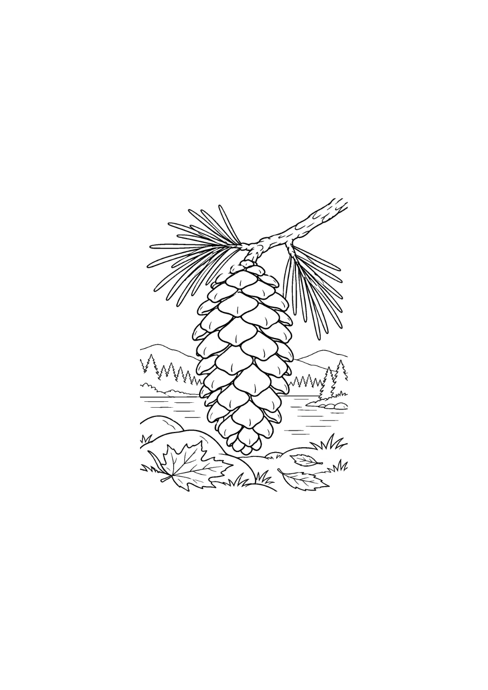 Coloriage Pommes de pin