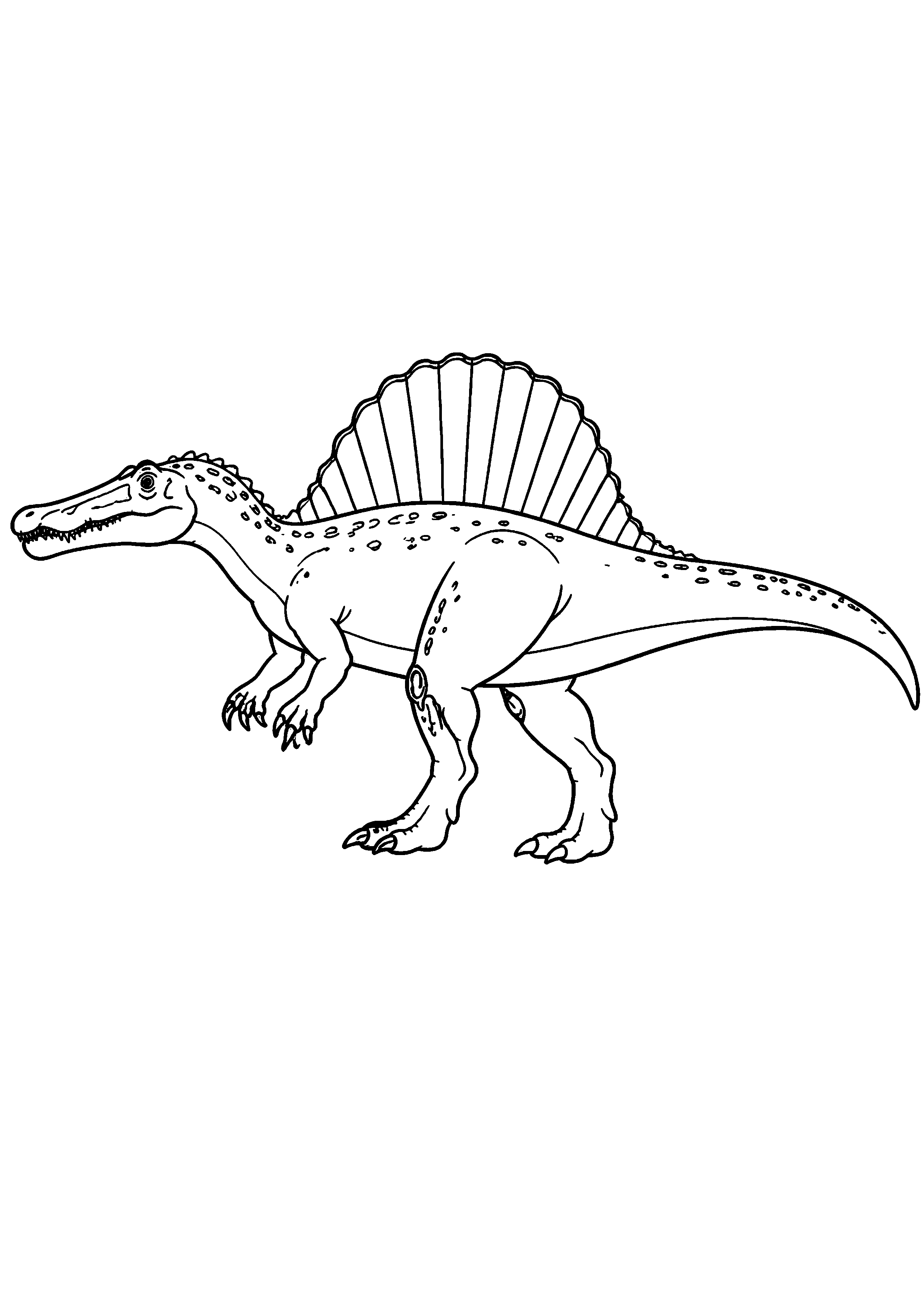 Coloriage Spinosaure
