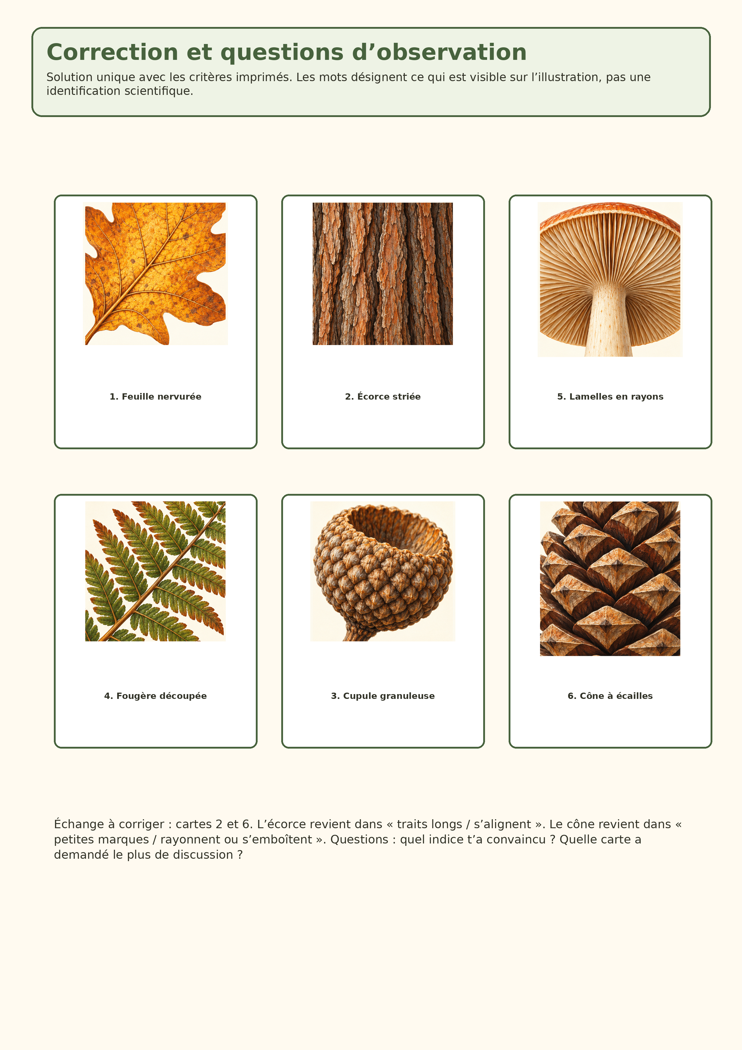 Correction de la matrice des six textures du sous-bois et questions d’observation