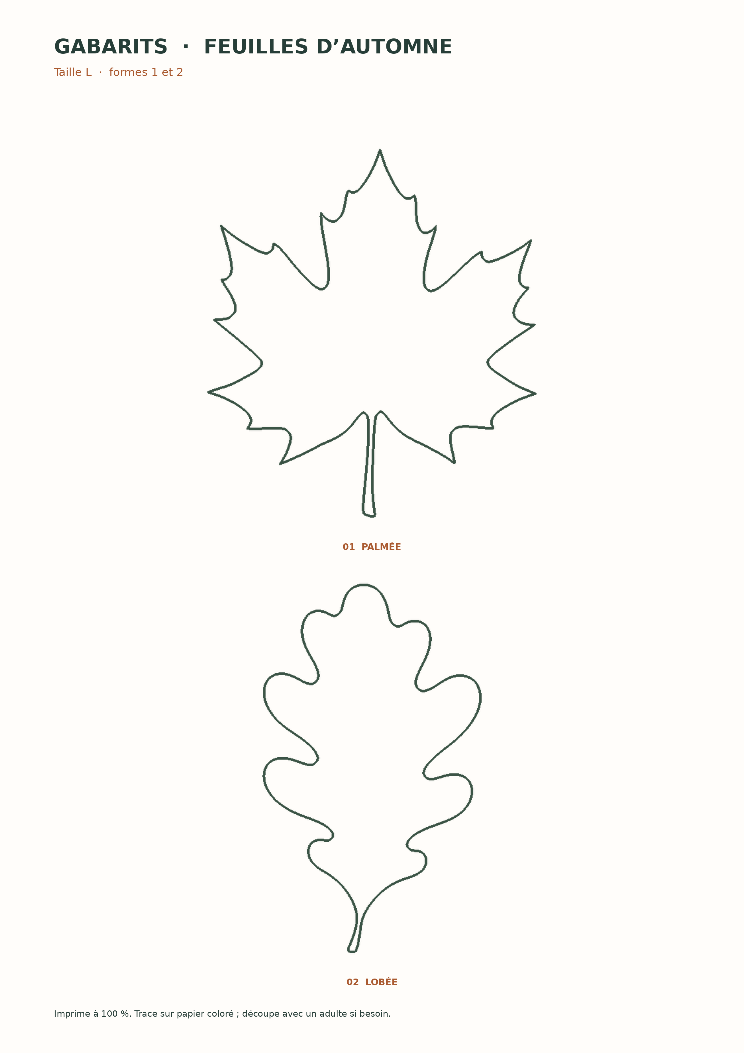 les grandes feuilles palmée et lobée, gabarits originaux de feuilles d’automne