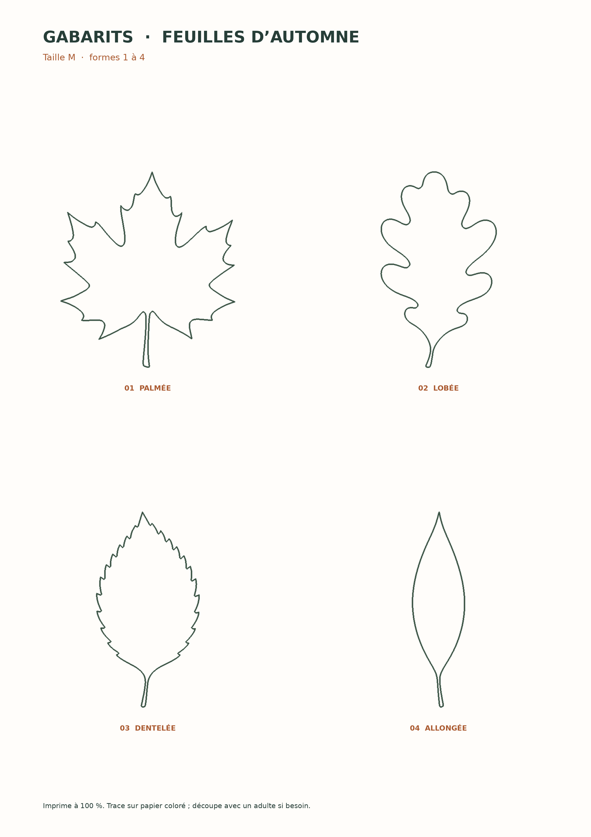 la planche des quatre feuilles moyennes, gabarits originaux de feuilles d’automne