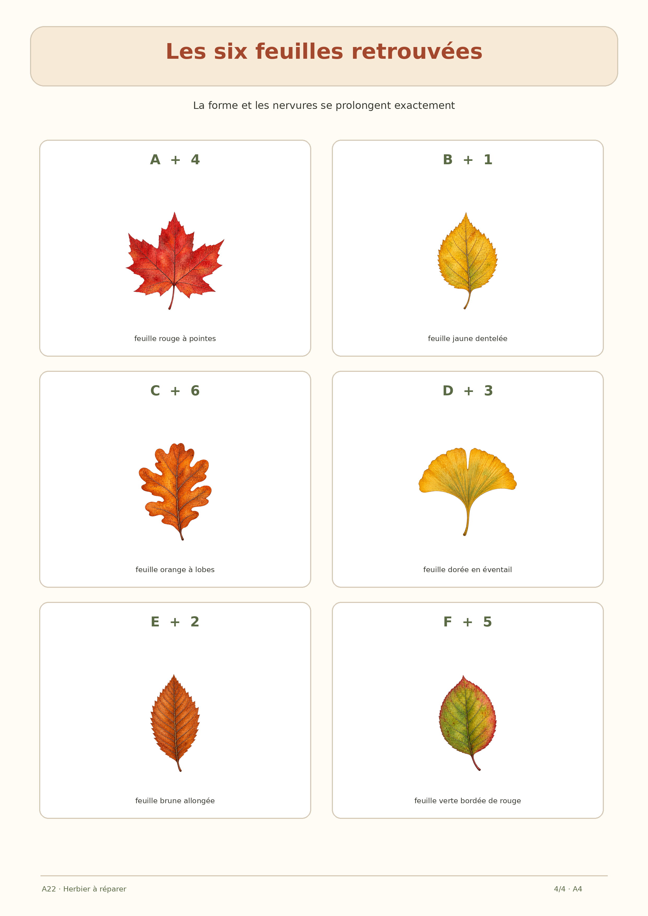 Corrigé A4 montrant les six feuilles d’automne reconstituées et leurs paires de cartes