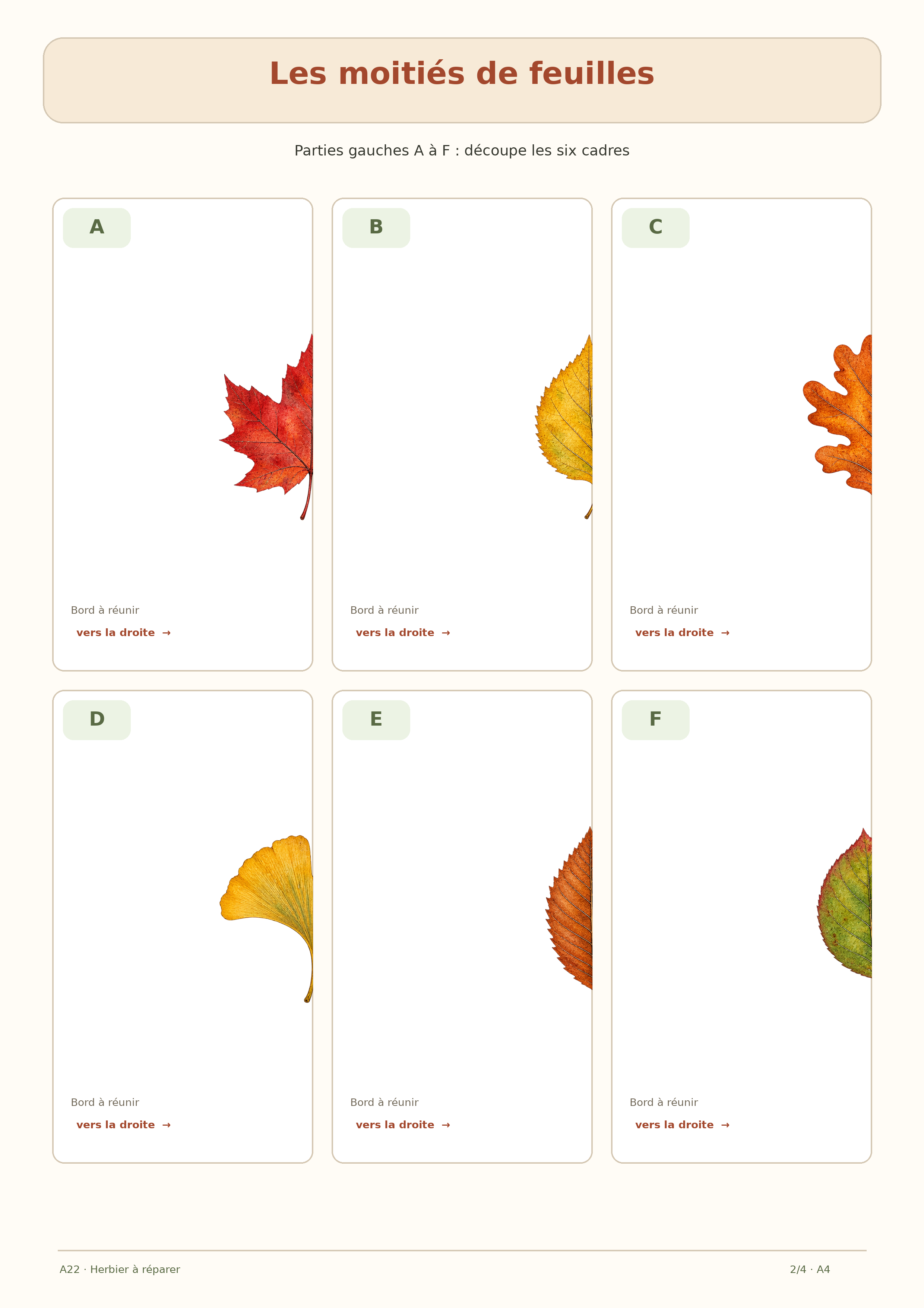 Six cartes de moitiés gauches de feuilles d’automne marquées A à F