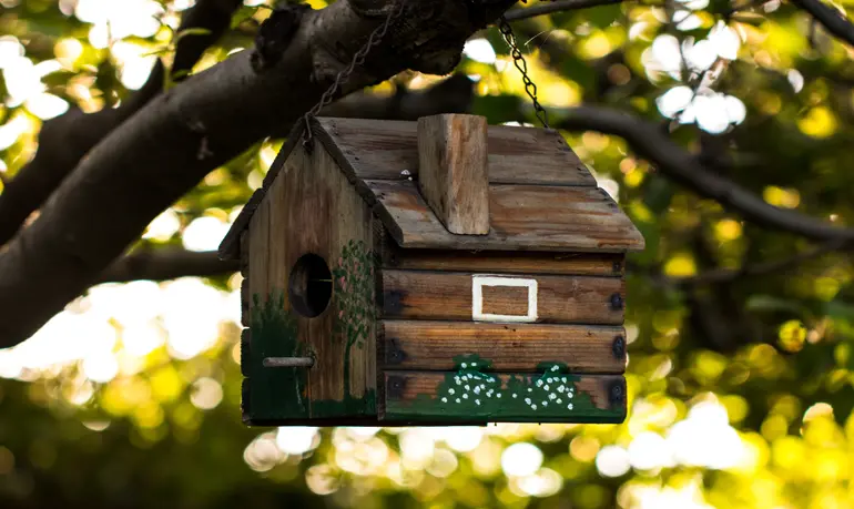 Construire un nichoir avec les enfants
