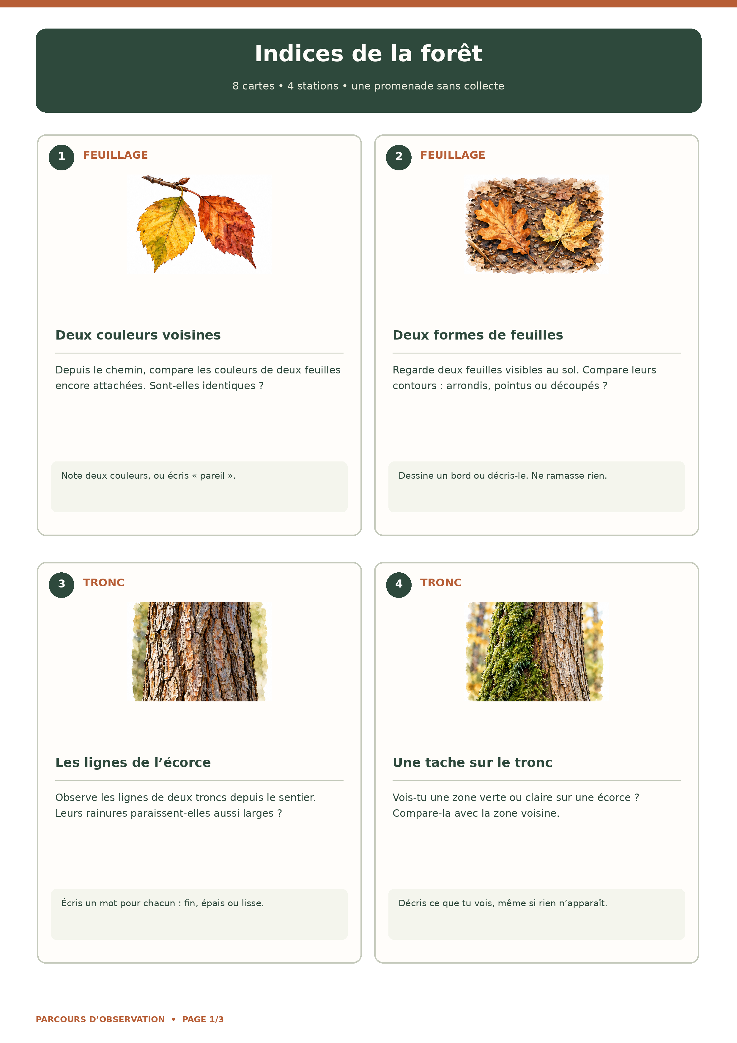 Quatre cartes d’observation d’automne sur feuillage et écorce