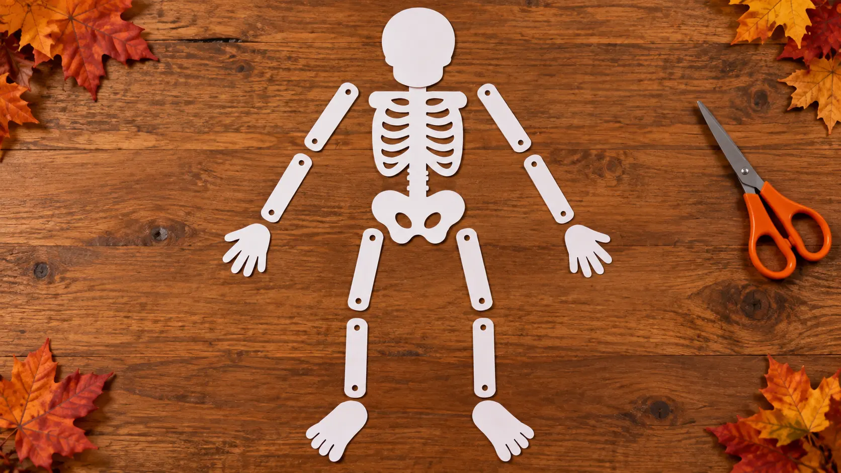 Découper les pièces du corps pour fabriquer Squelette articulé Halloween en pailles : huit vraies articulations