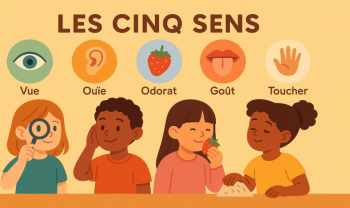 Les cinq sens expliqués aux enfants : activités et pédagogie