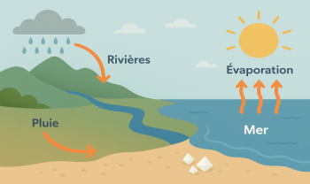 Pourquoi la mer est salée ? Explication pour enfants