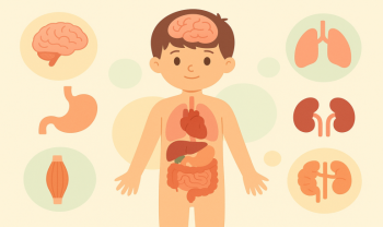 Le Corps humain : organes et missions - expliqué aux enfants 