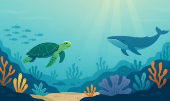 Vie sous-marine : comprendre l'océan et activités enfants