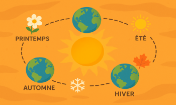 Apprendre les saisons à un enfant : explication, expériences et activités
