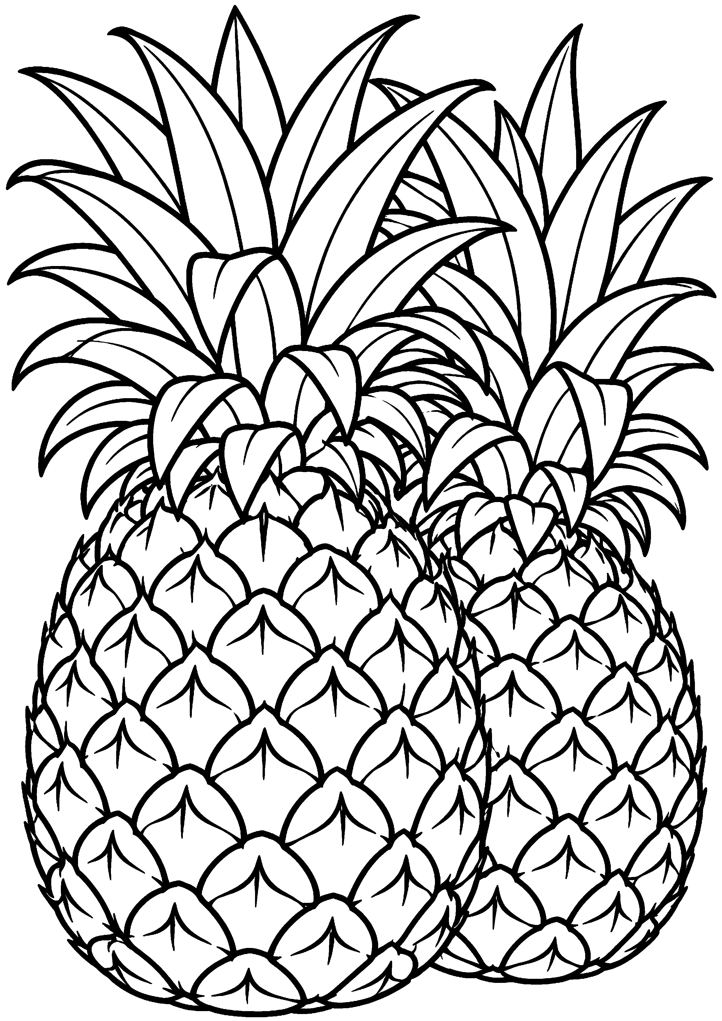 Coloriage ananas vu de dessus en pleine page à imprimer