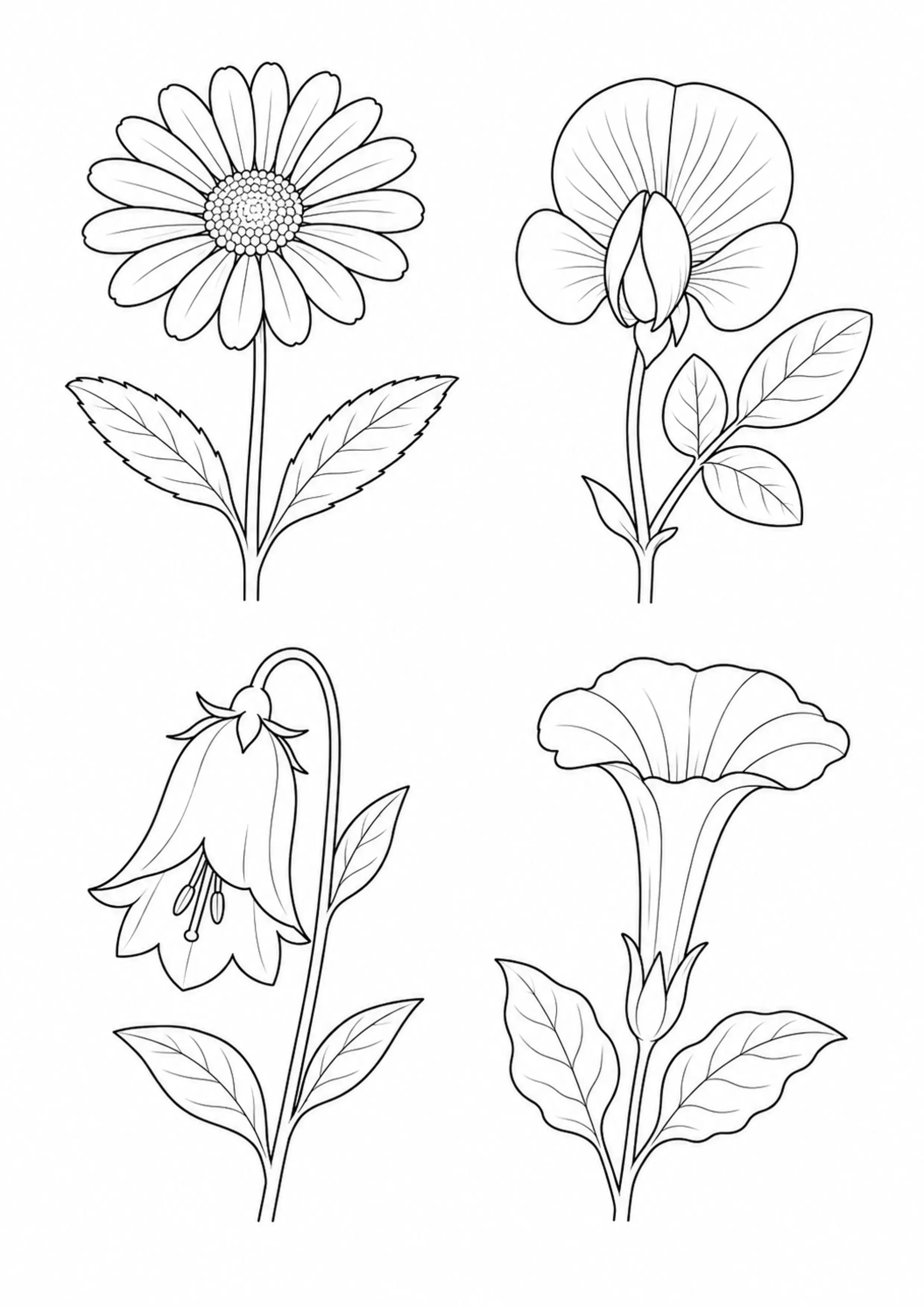 Coloriage Anatomie d’une fleur à imprimer – dessin n°13