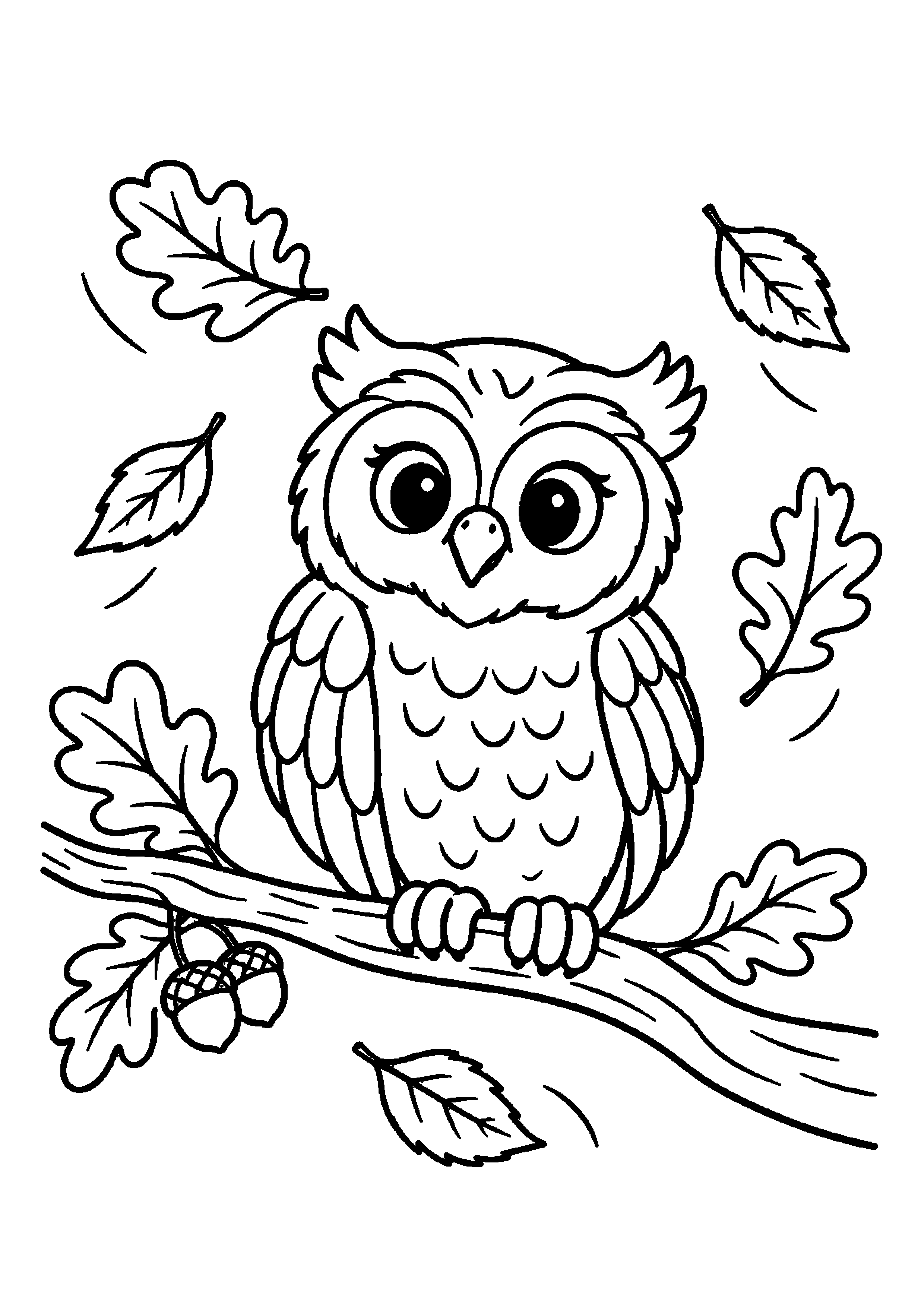 Hibou perché sur une branche entourée de feuilles et de glands