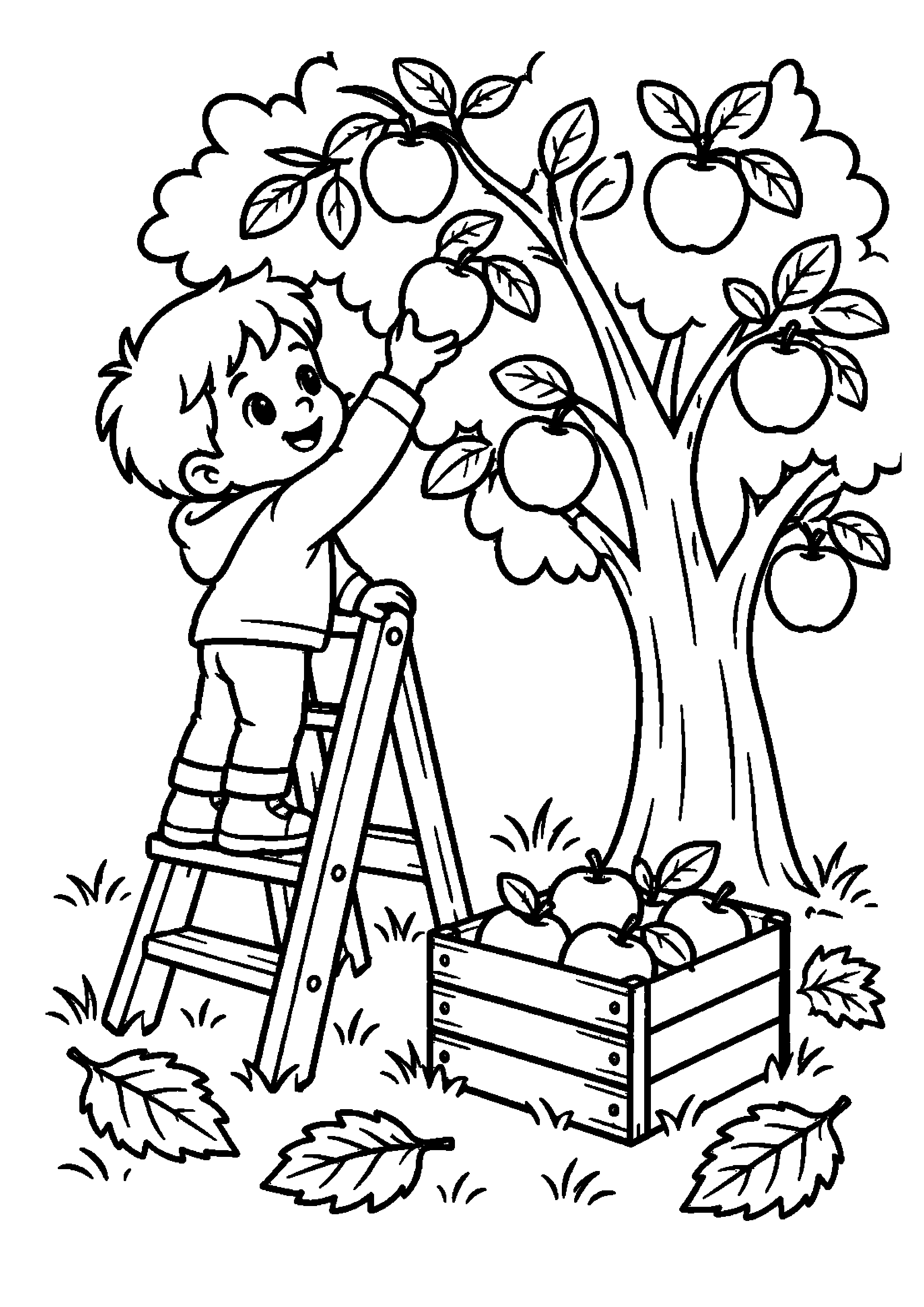 Enfant sur un escabeau cueillant des pommes avec une cagette au sol