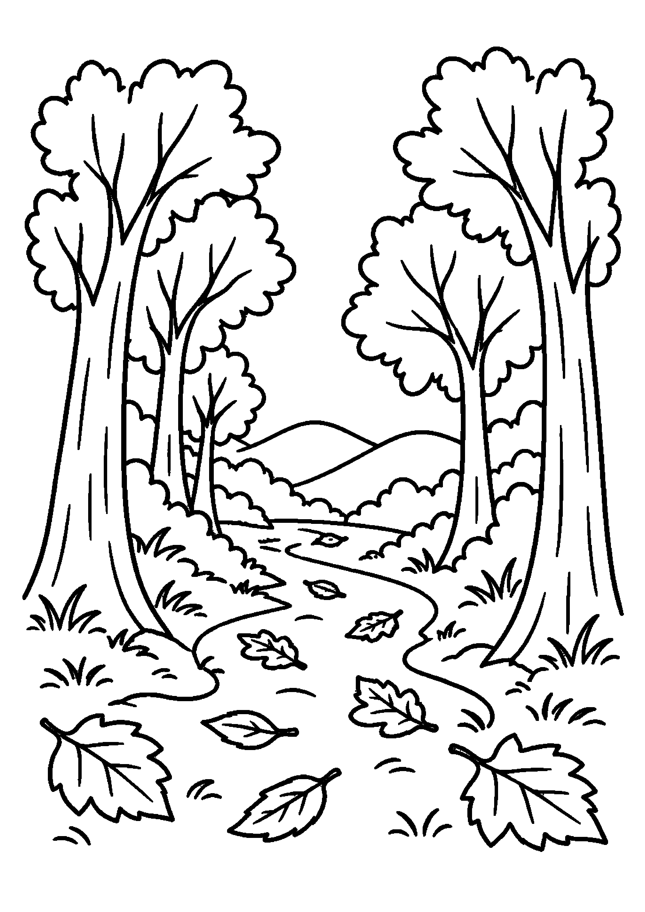 Chemin couvert de feuilles serpentant entre les arbres vers des collines