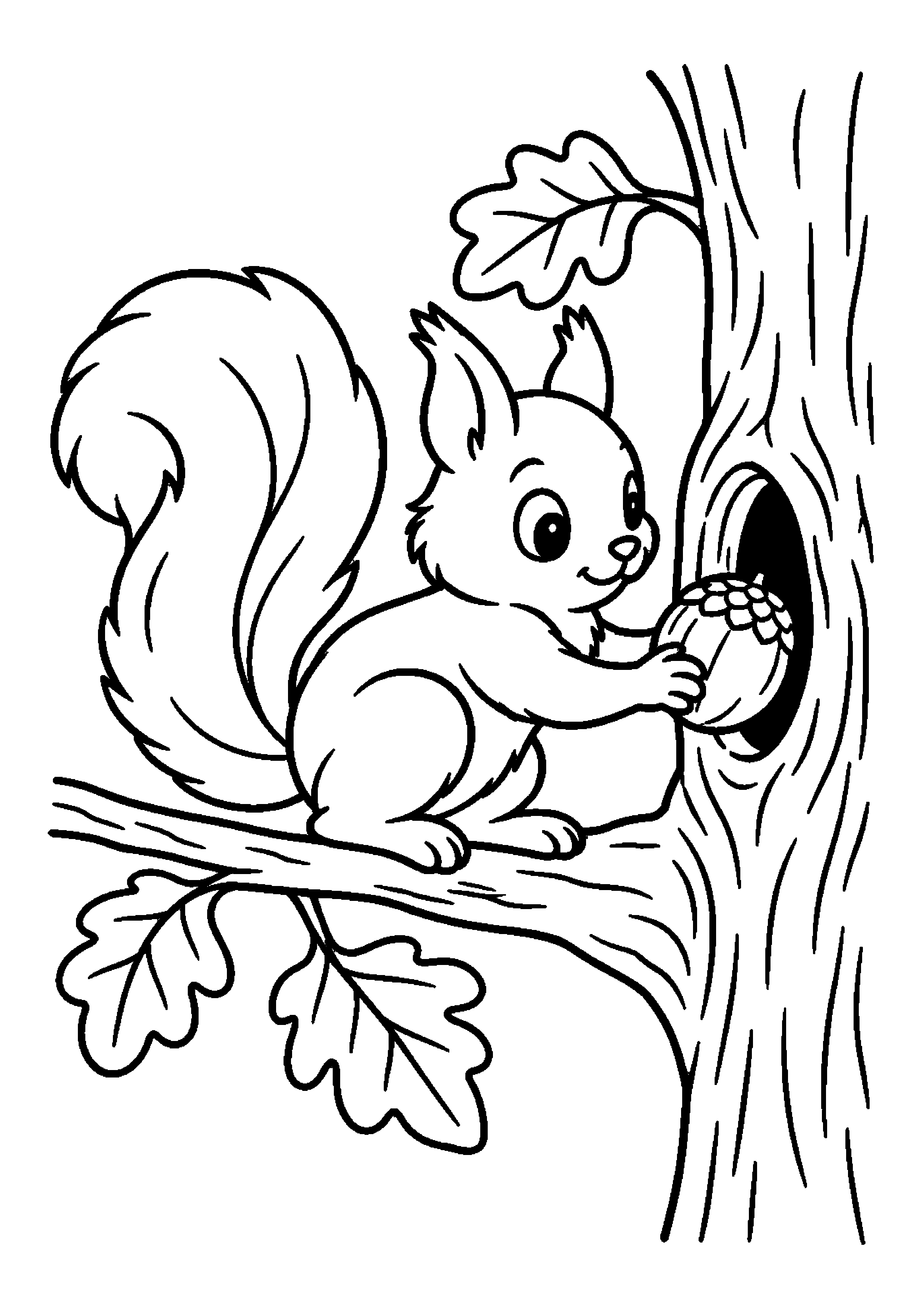 Écureuil sur une branche cachant une noisette dans un arbre