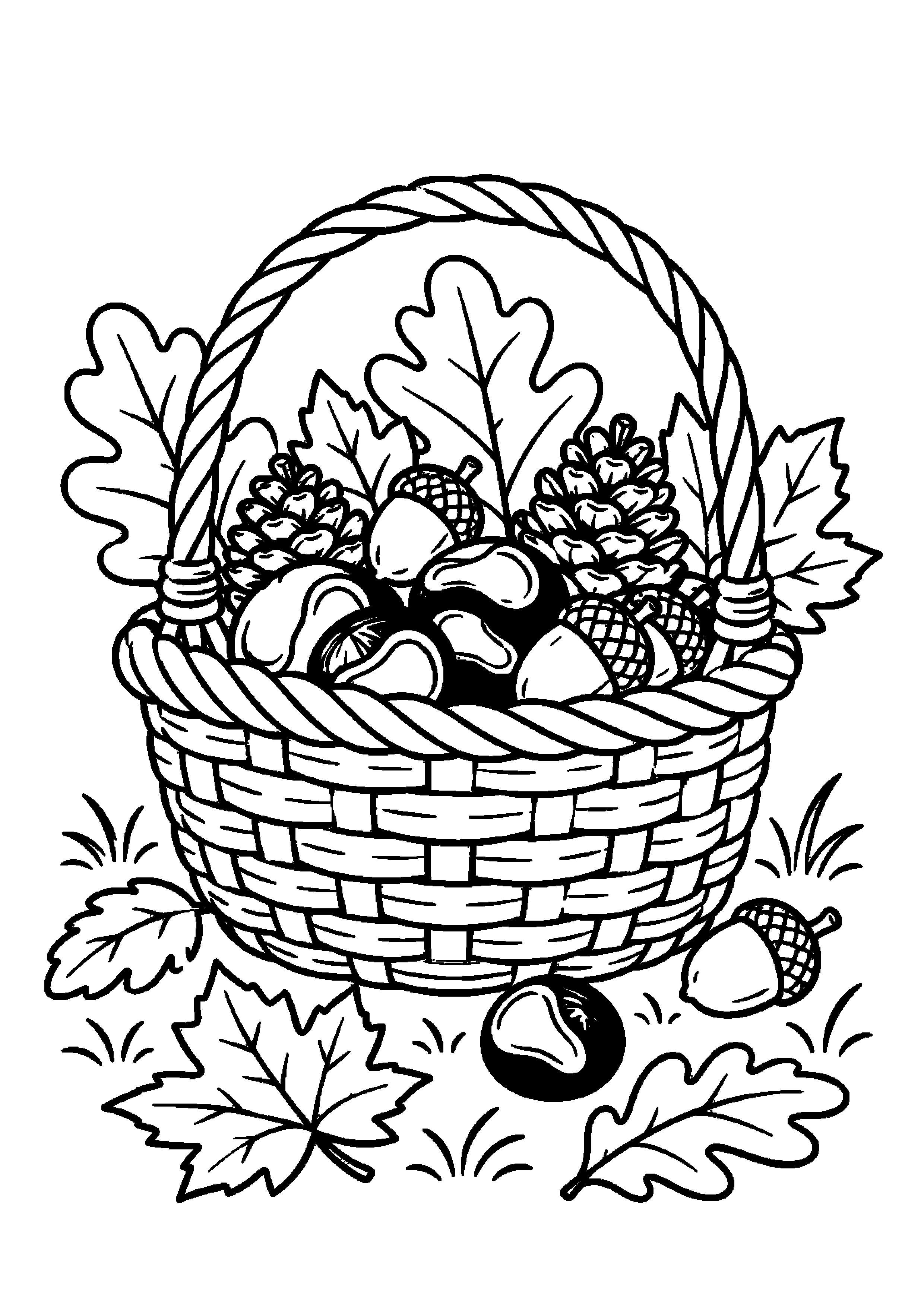 Panier rempli de glands, châtaignes, pommes de pin et feuilles