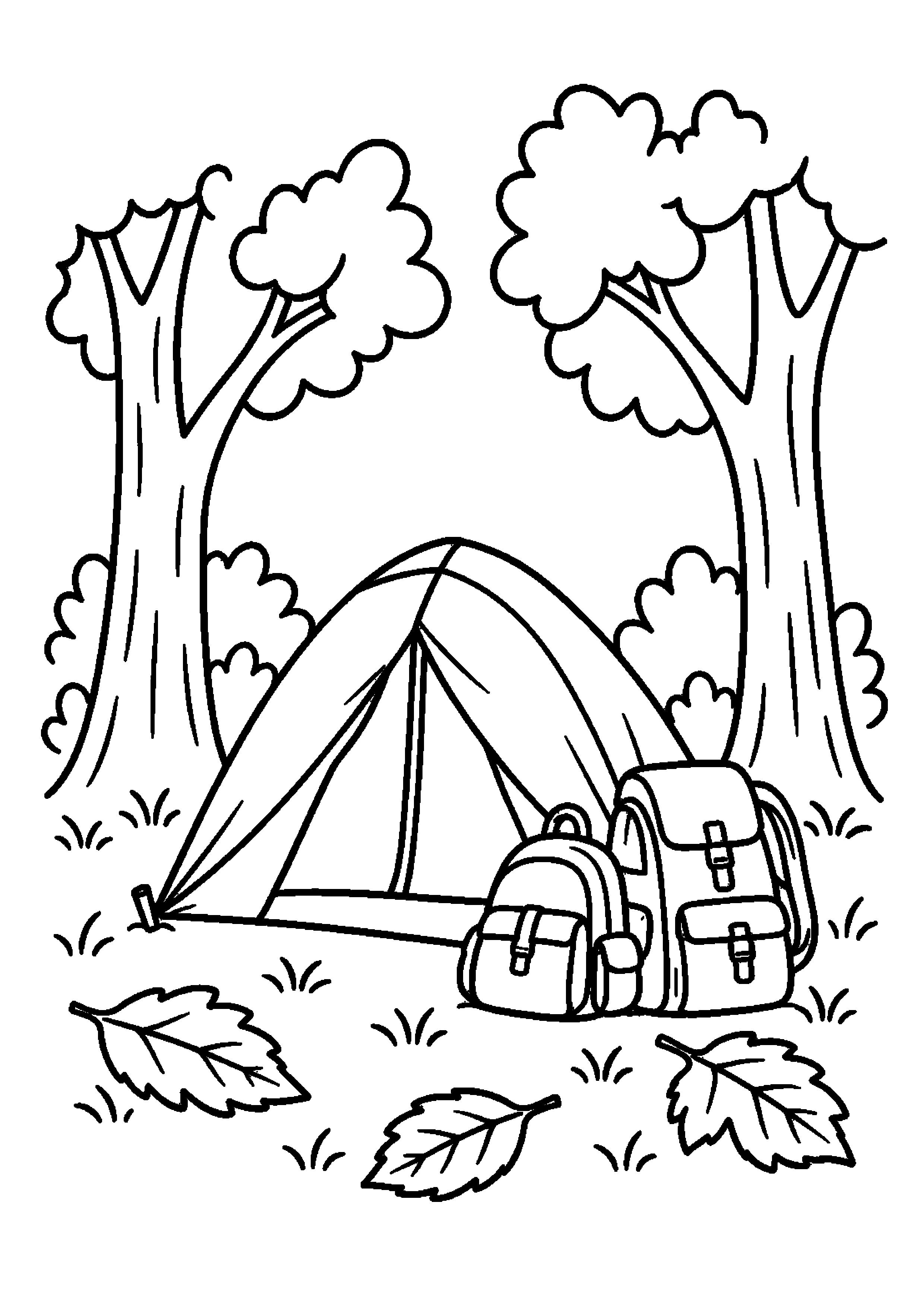Tente et sacs à dos dans un campement forestier sans feu