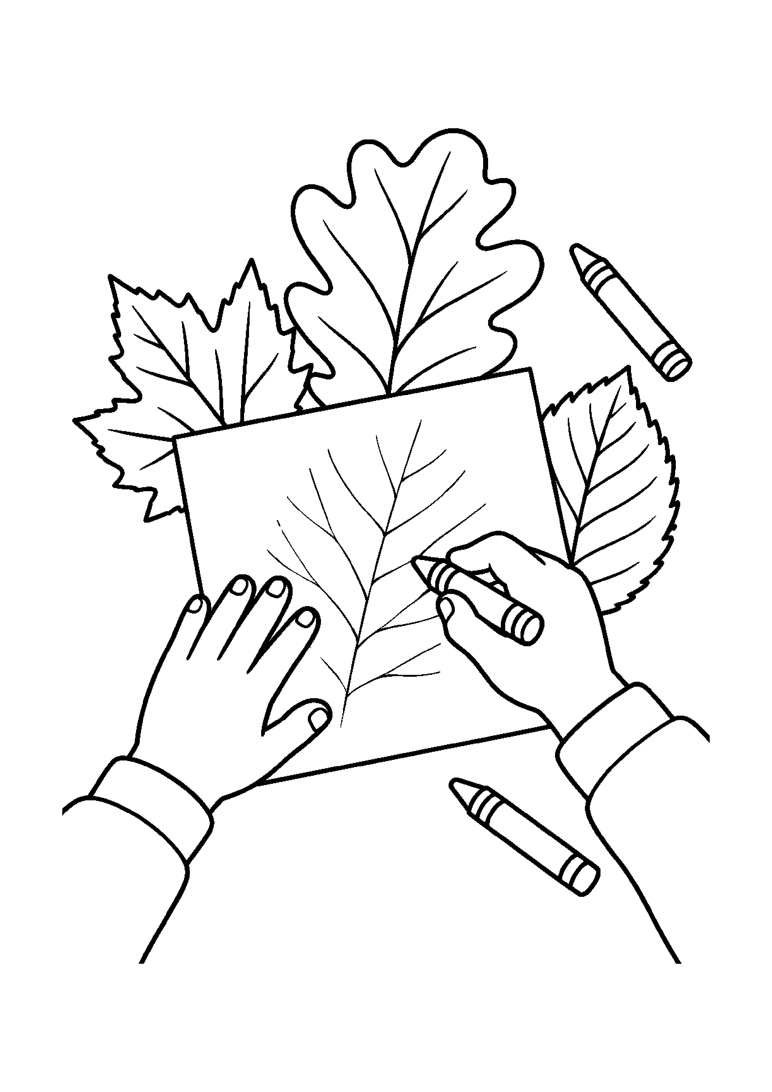 Mains d'enfant réalisant une empreinte de feuilles avec un crayon