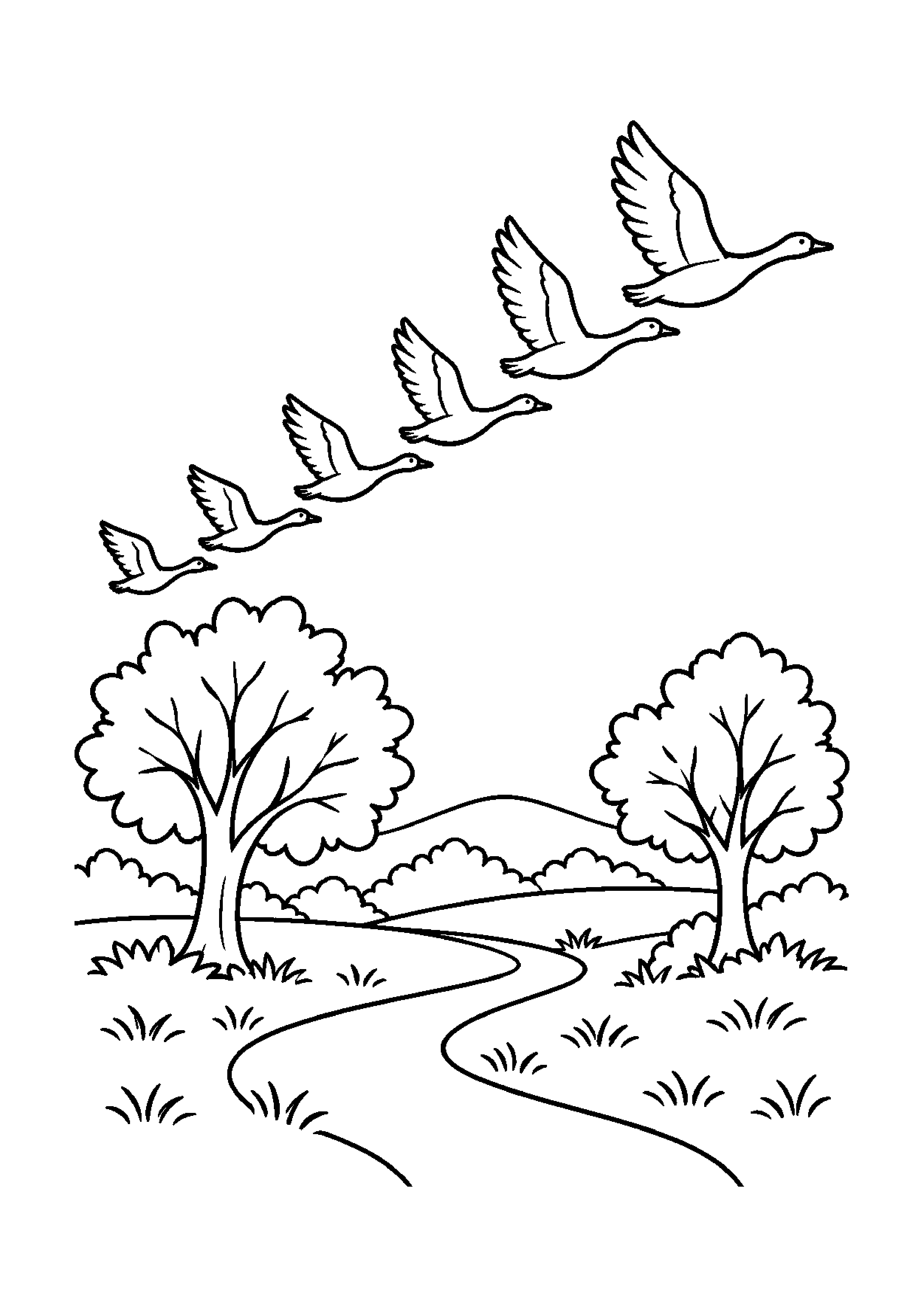 Vol d'oies en formation au-dessus d'un chemin et de collines d'automne