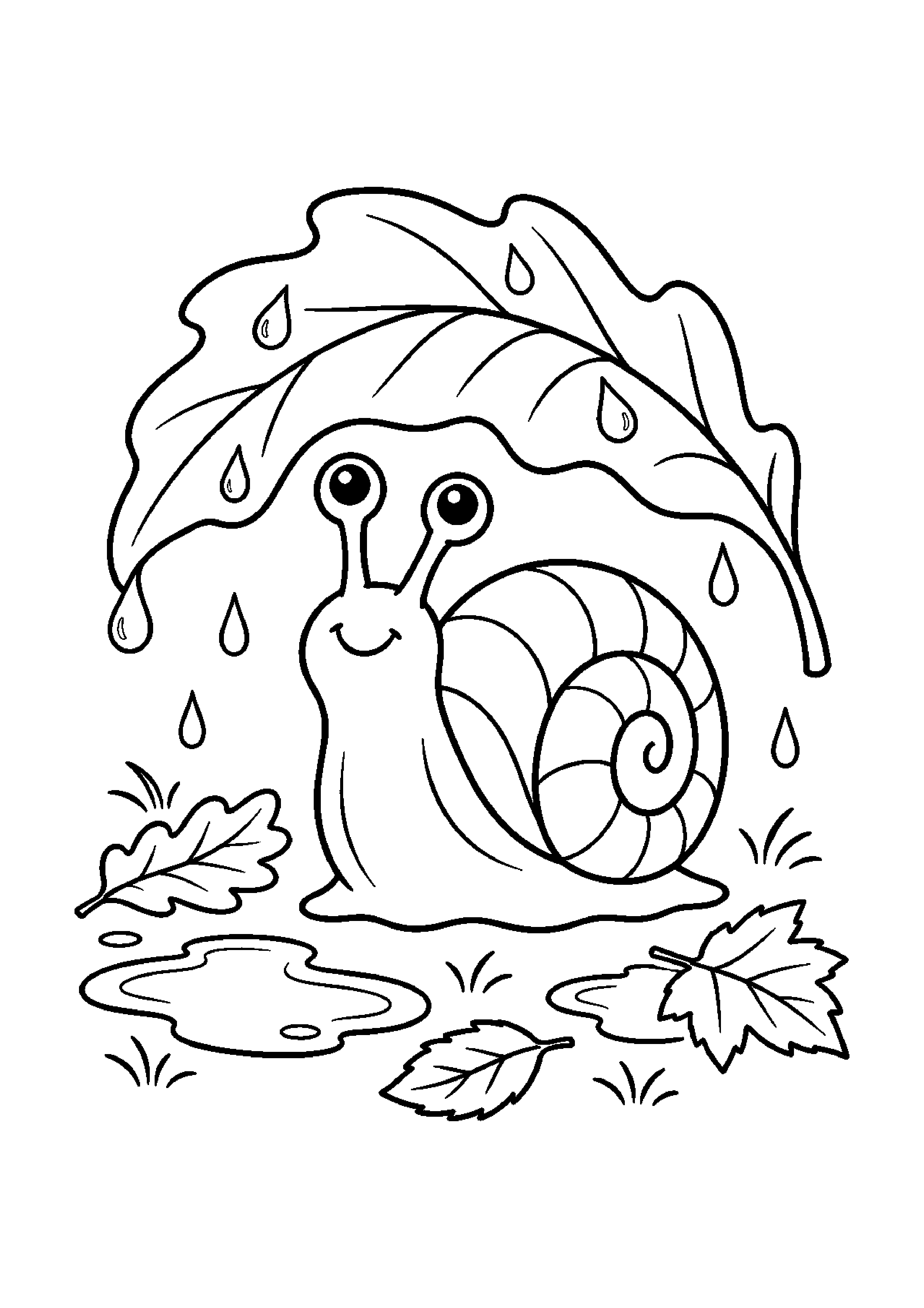 Escargot sous une grande feuille avec gouttes flaques et feuilles au sol