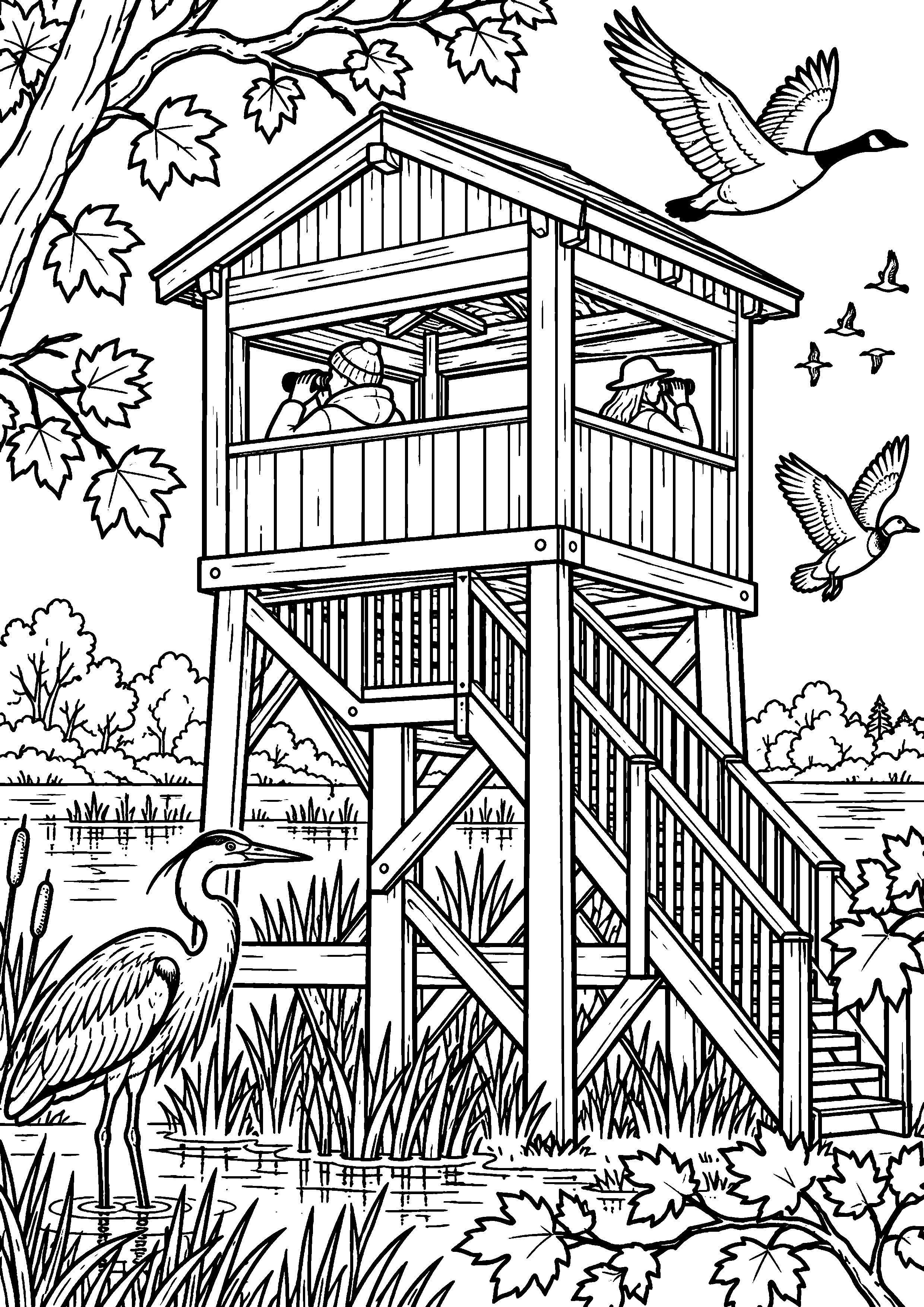 Coloriage en noir et blanc représentant cabane d'observation dans une réserve d'oiseaux, en grand format A4