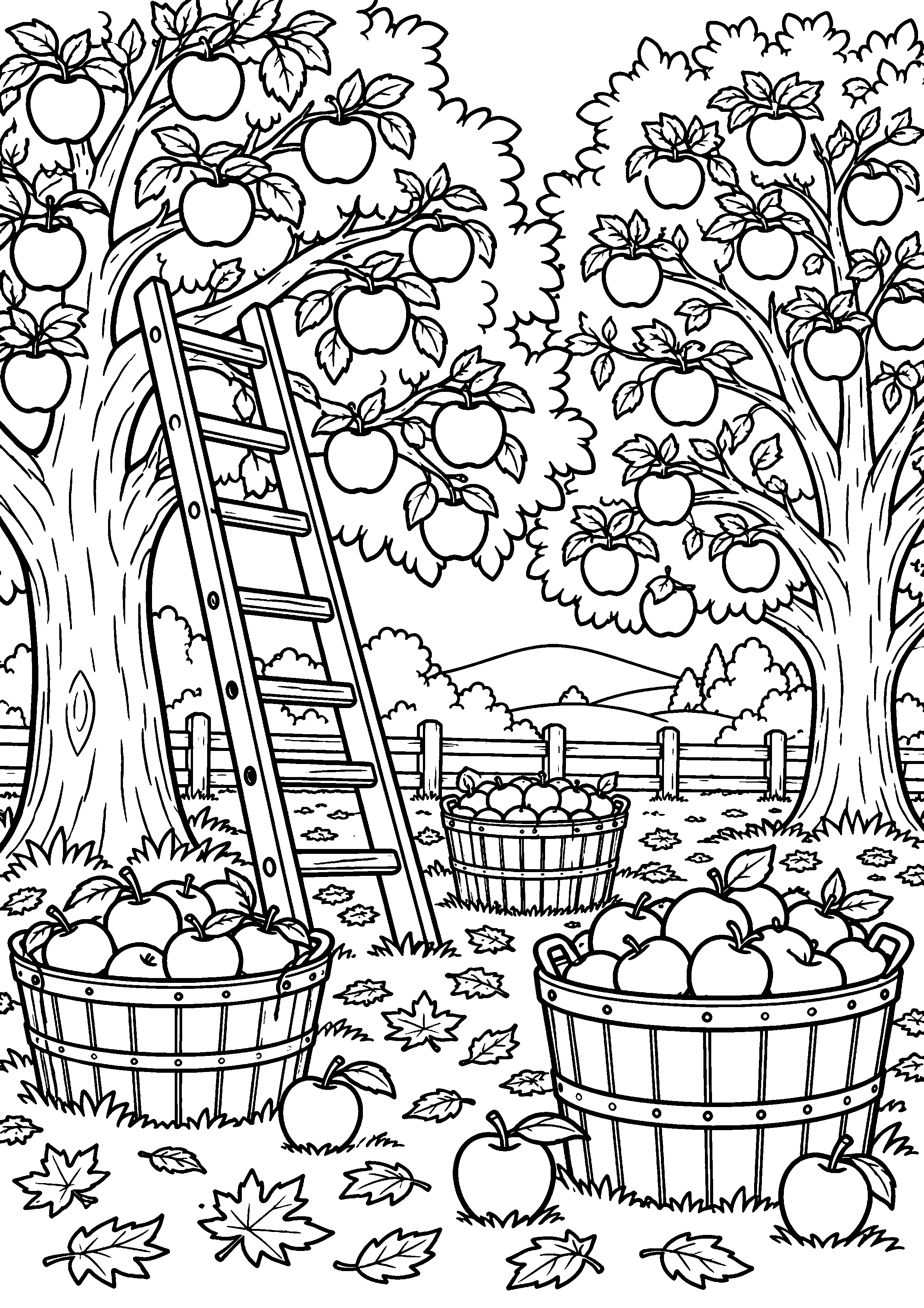 Coloriage en noir et blanc représentant verger familial avec échelle et paniers de pommes, en grand format A4