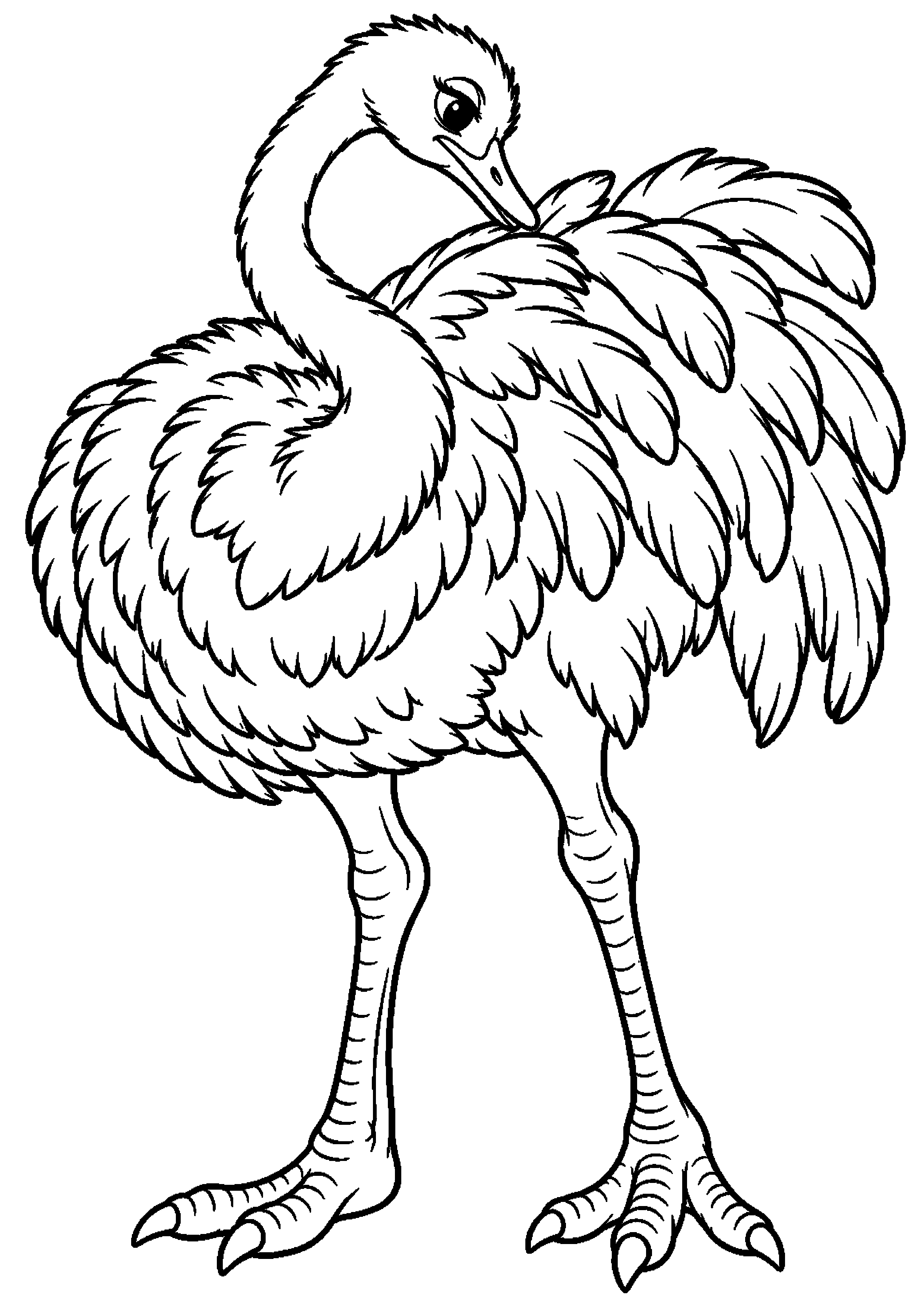 Grand coloriage d’une autruche lissant les plumes de son dos avec le bec, contours noirs nets sur fond blanc