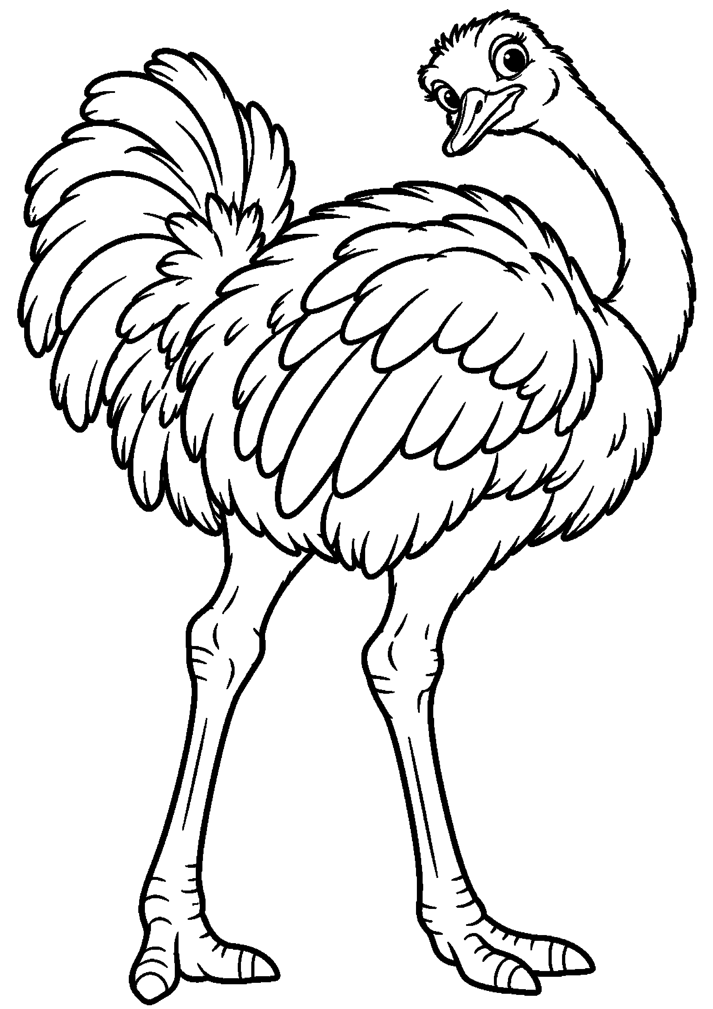 Grand coloriage d’une autruche tournant la tête vers les plumes de son dos, contours noirs nets sur fond blanc