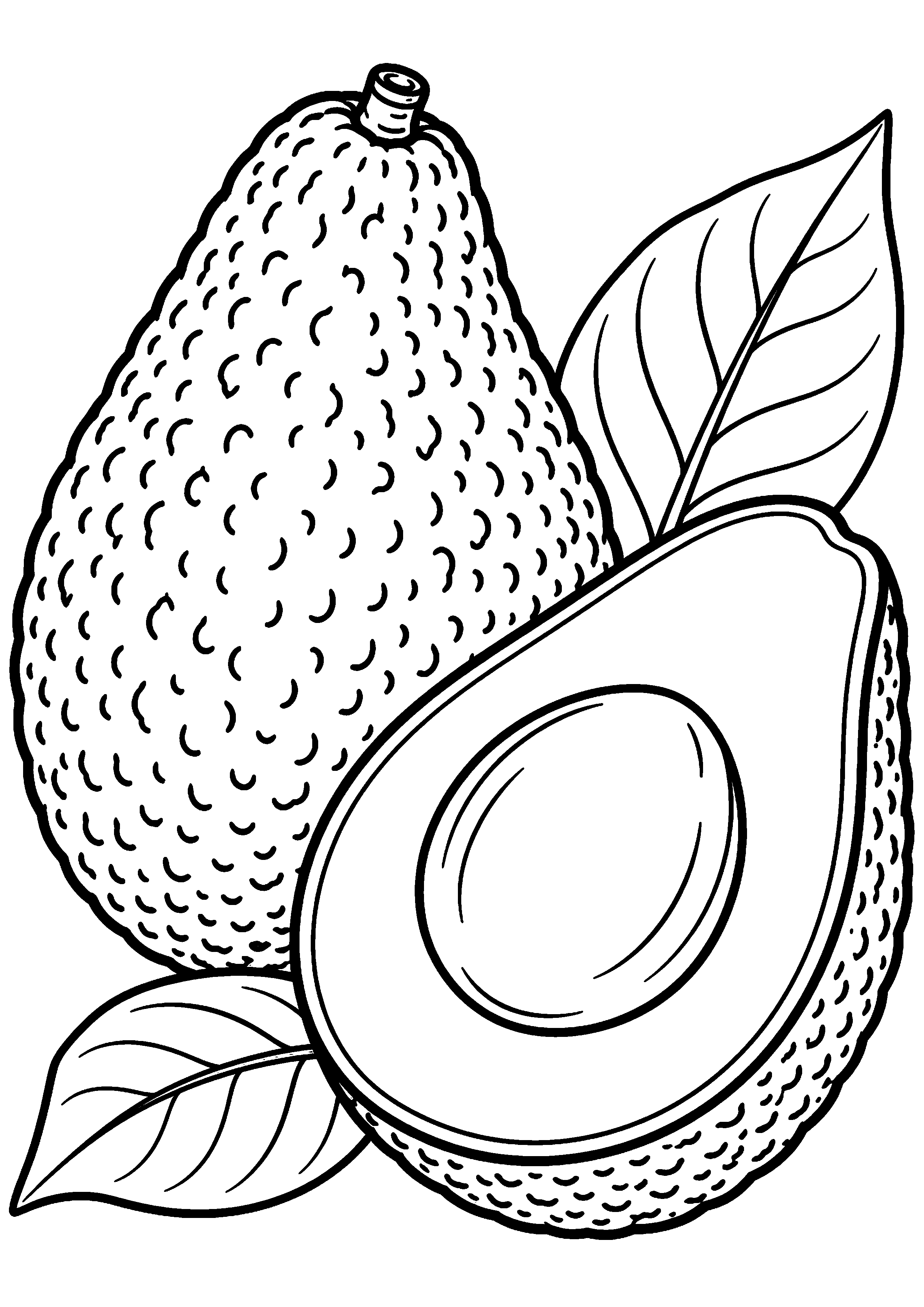 Coloriage avocat entier en très gros plan à imprimer