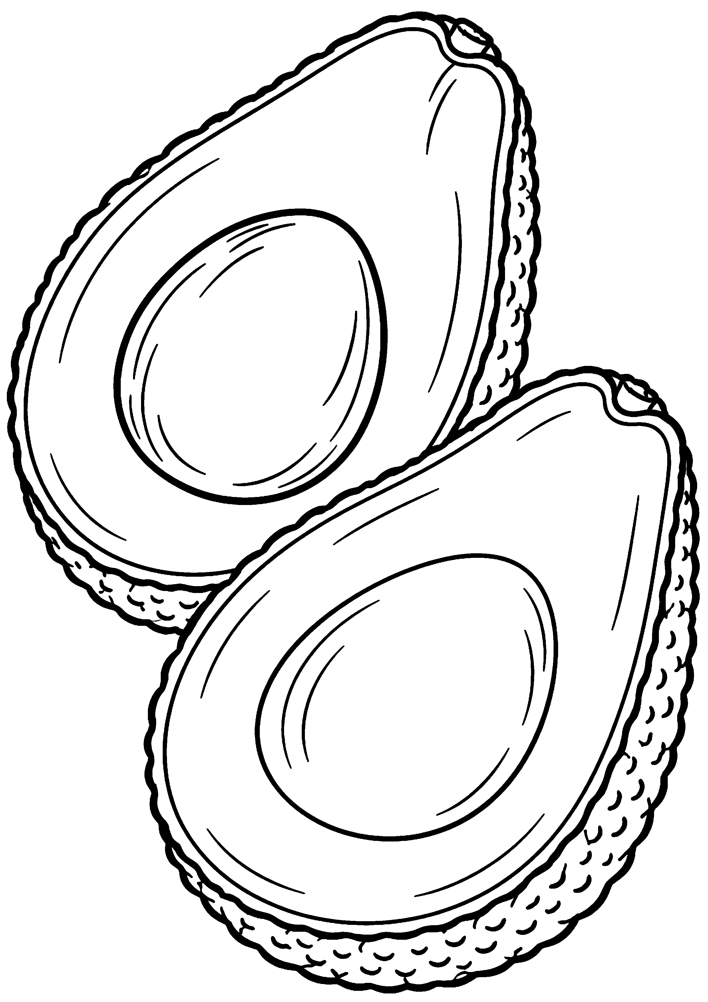 Coloriage avocat coupé en deux montrant son intérieur à imprimer