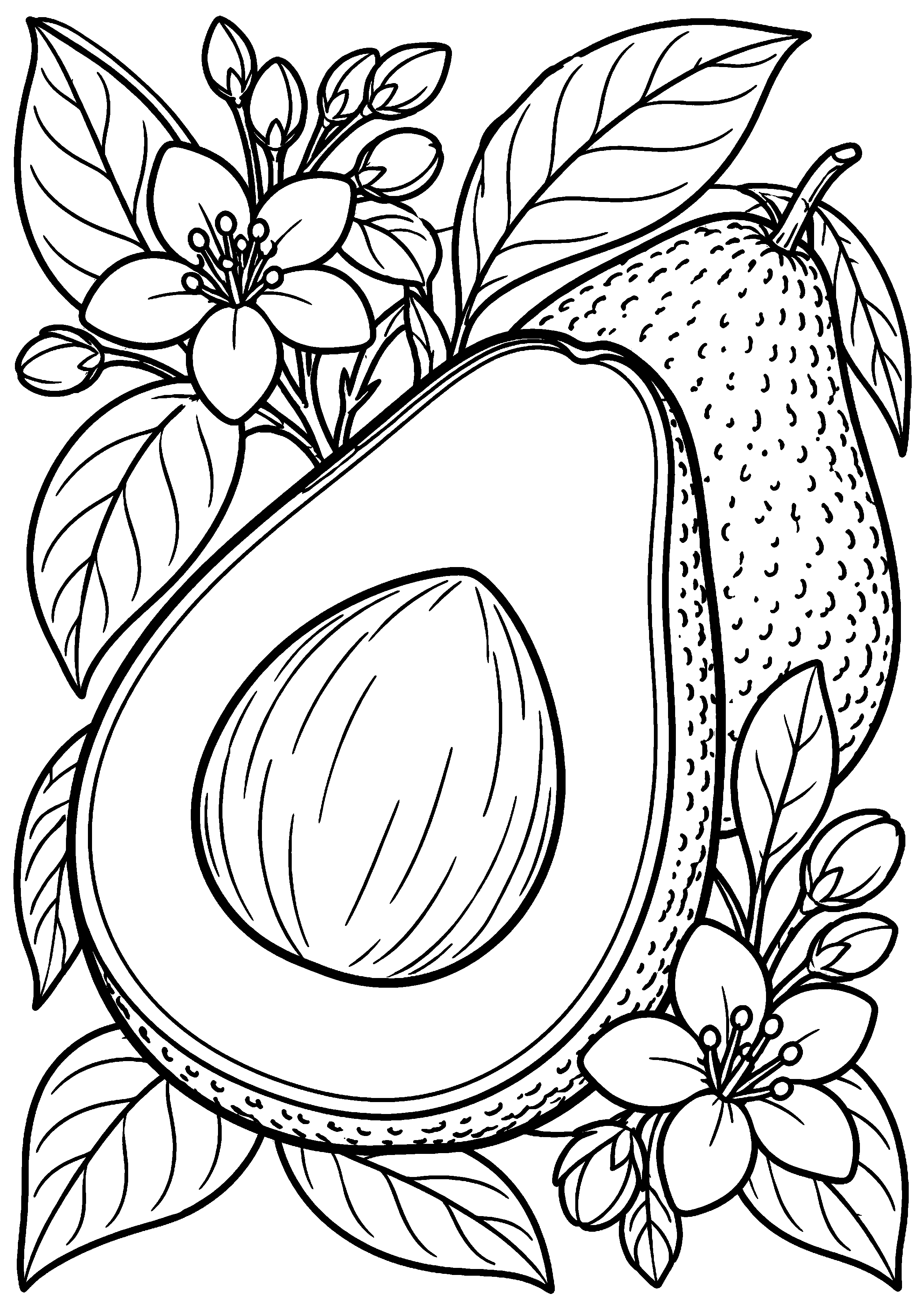 Grand coloriage d’un avocat entier avec une tranche au premier plan, contours noirs nets sur fond blanc