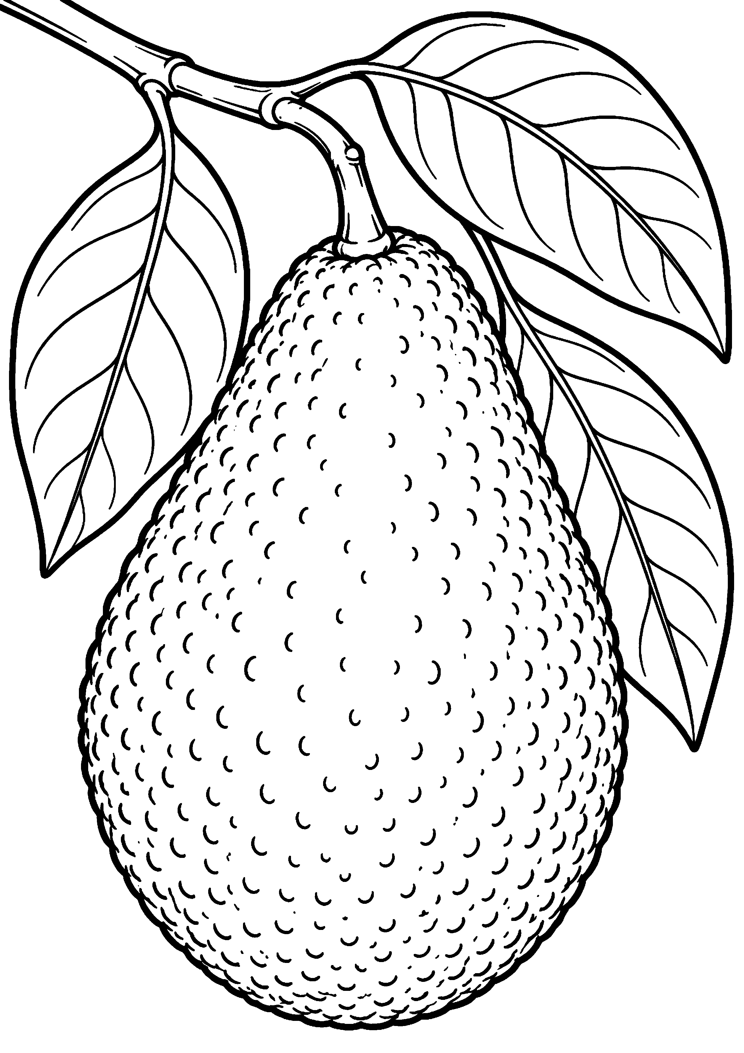 Grand coloriage d’un avocat entier suspendu à une branche feuillue, contours noirs nets sur fond blanc