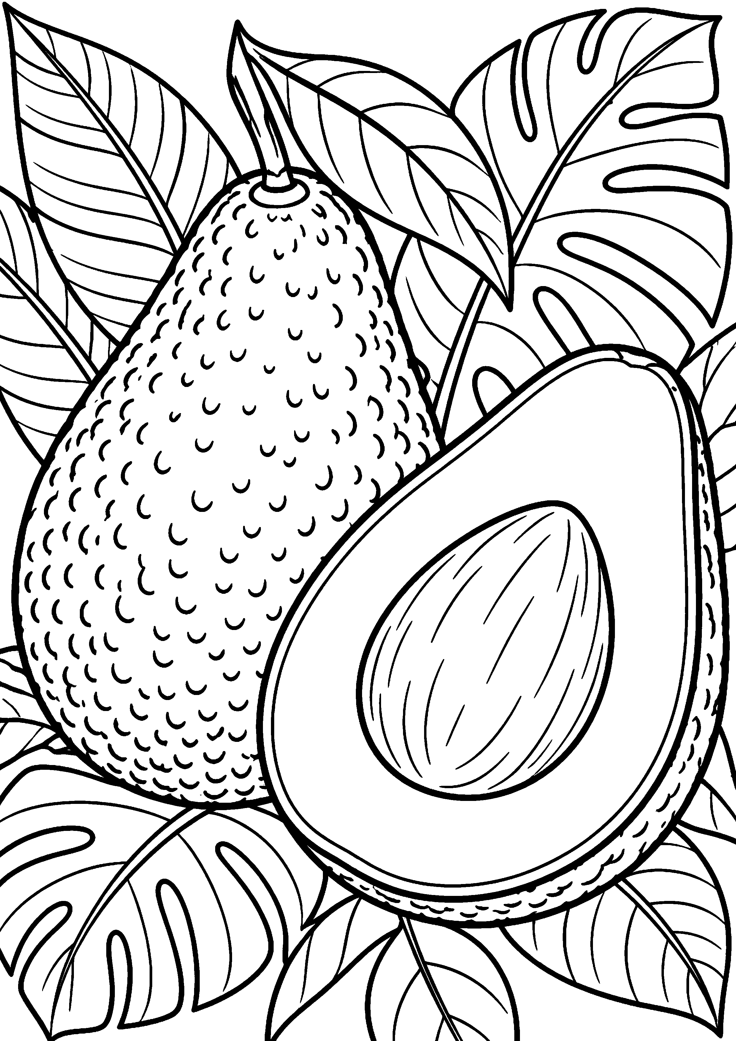 Grand coloriage d’un avocat préparé en cuisine sans marque, contours noirs nets sur fond blanc