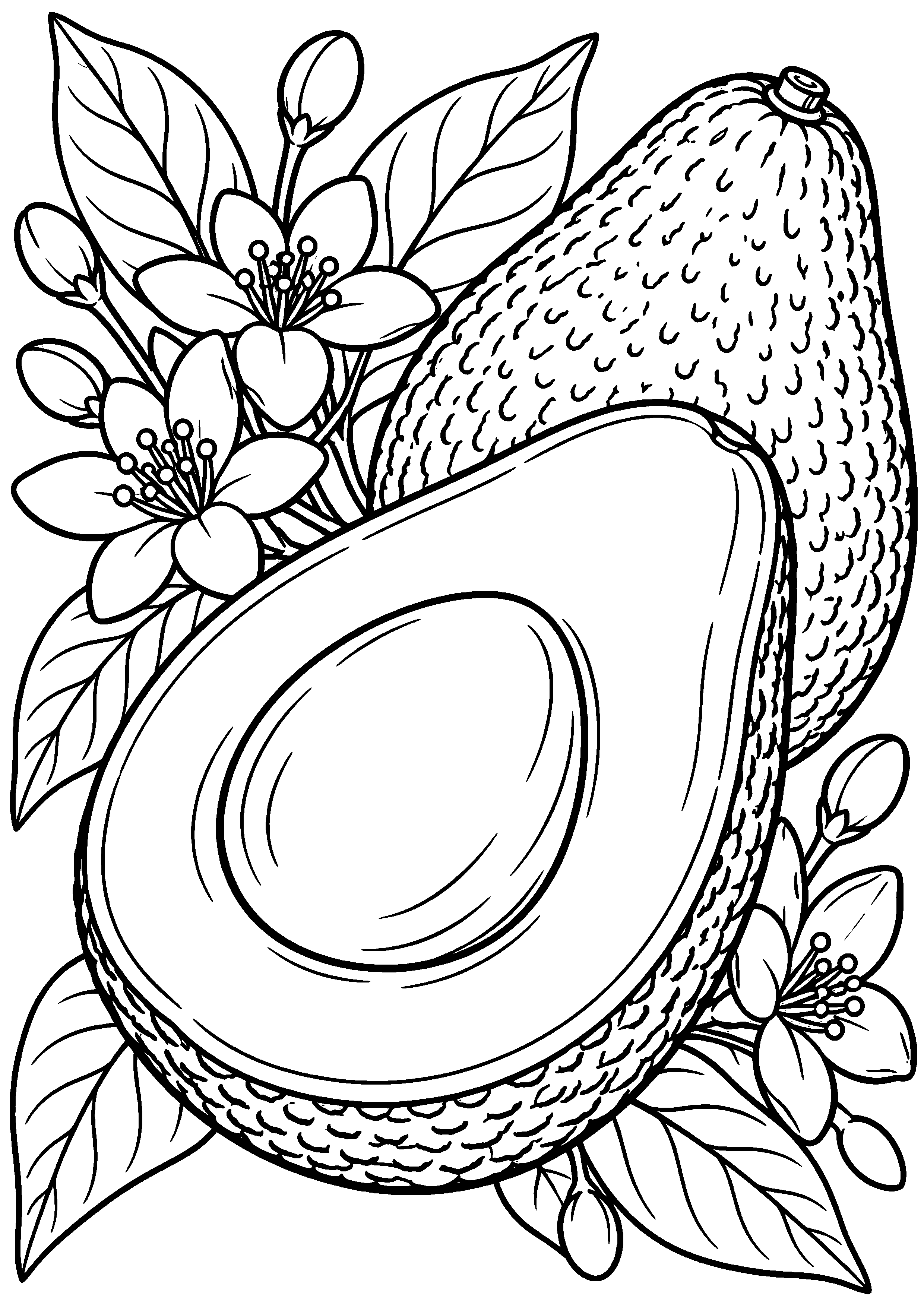 Grand coloriage d’un avocat entouré de ses ingrédients frais, contours noirs nets sur fond blanc