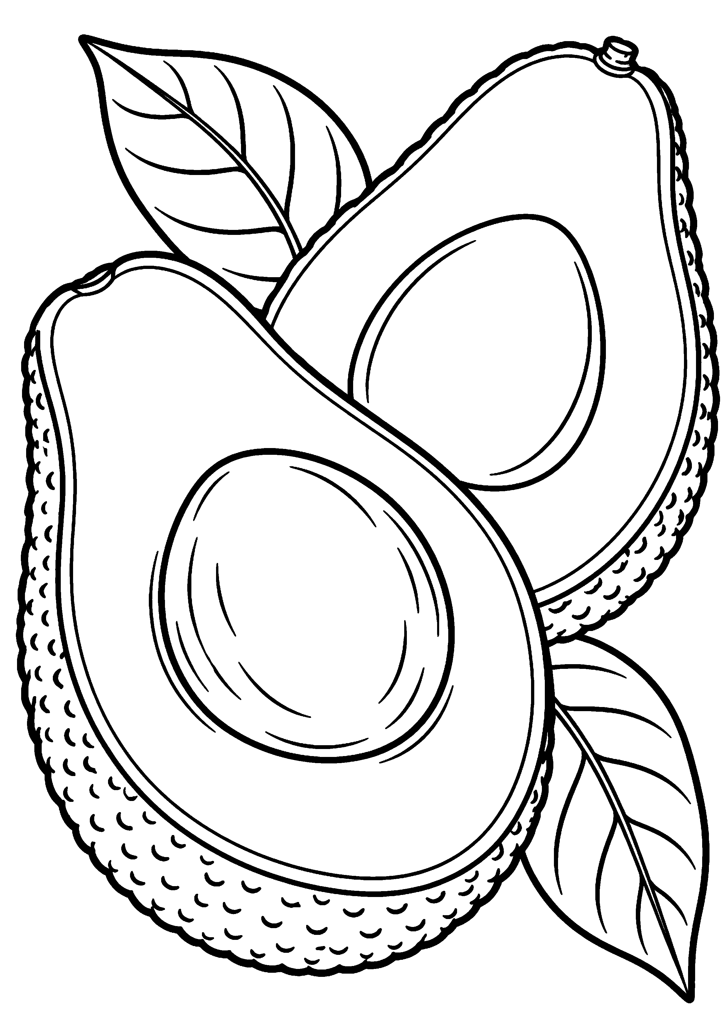 Grand coloriage d’un avocat avec deux moitiés, un noyau et de grandes feuilles, contours noirs nets sur fond blanc