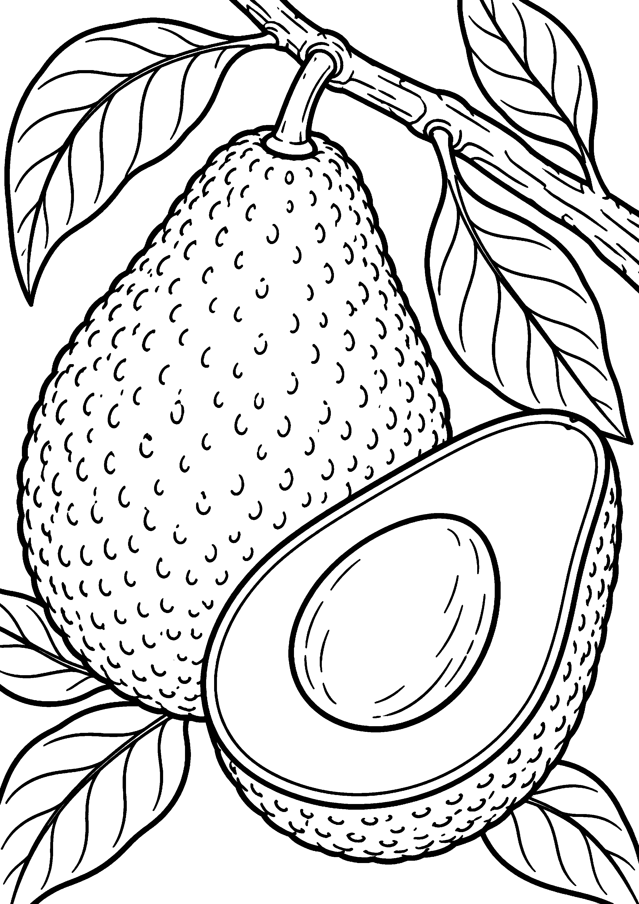 Grand coloriage d’un avocat dans une scène de pique-nique, contours noirs nets sur fond blanc