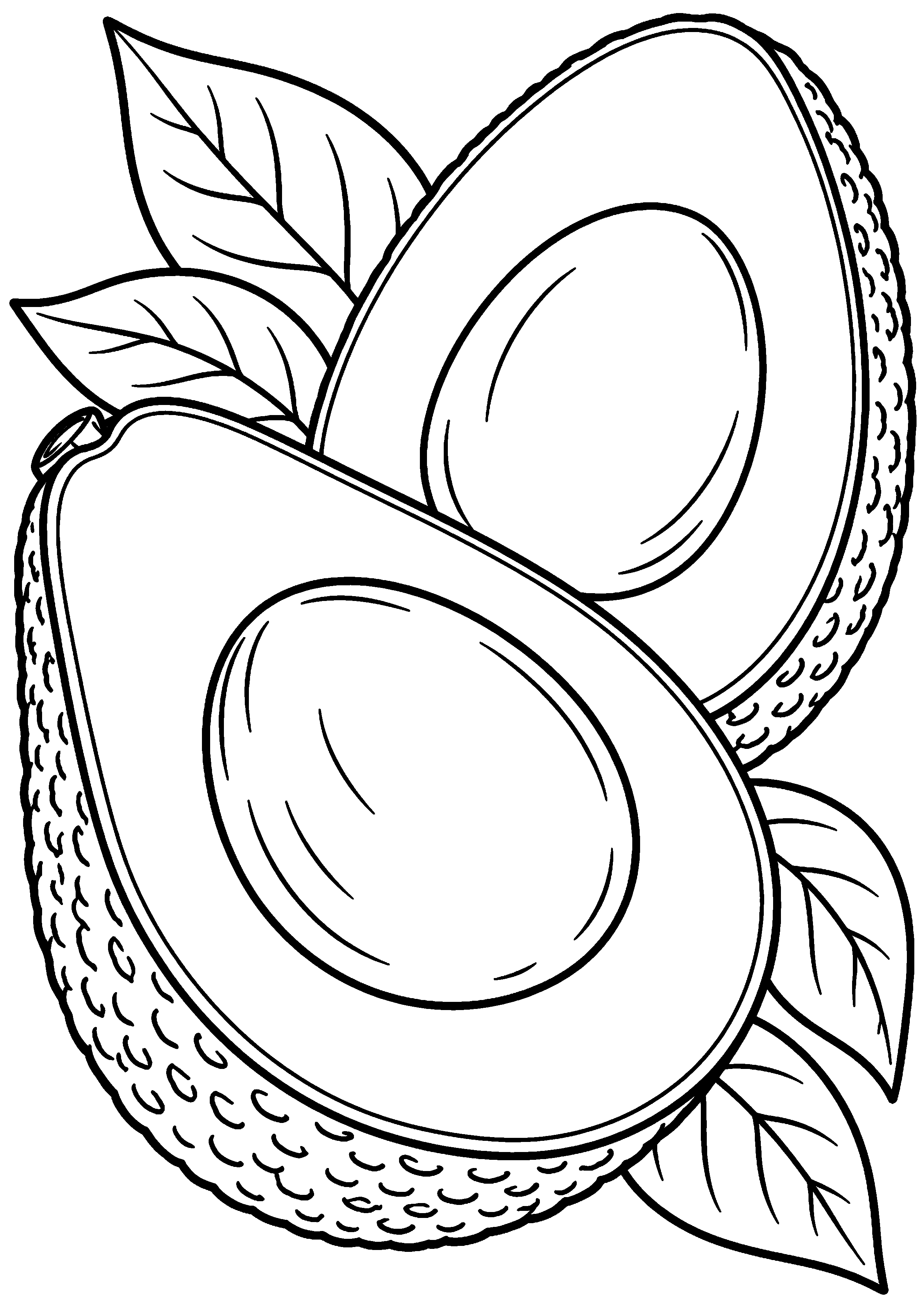Grand coloriage d’un avocat en version détaillée avec textures linéaires, contours noirs nets sur fond blanc