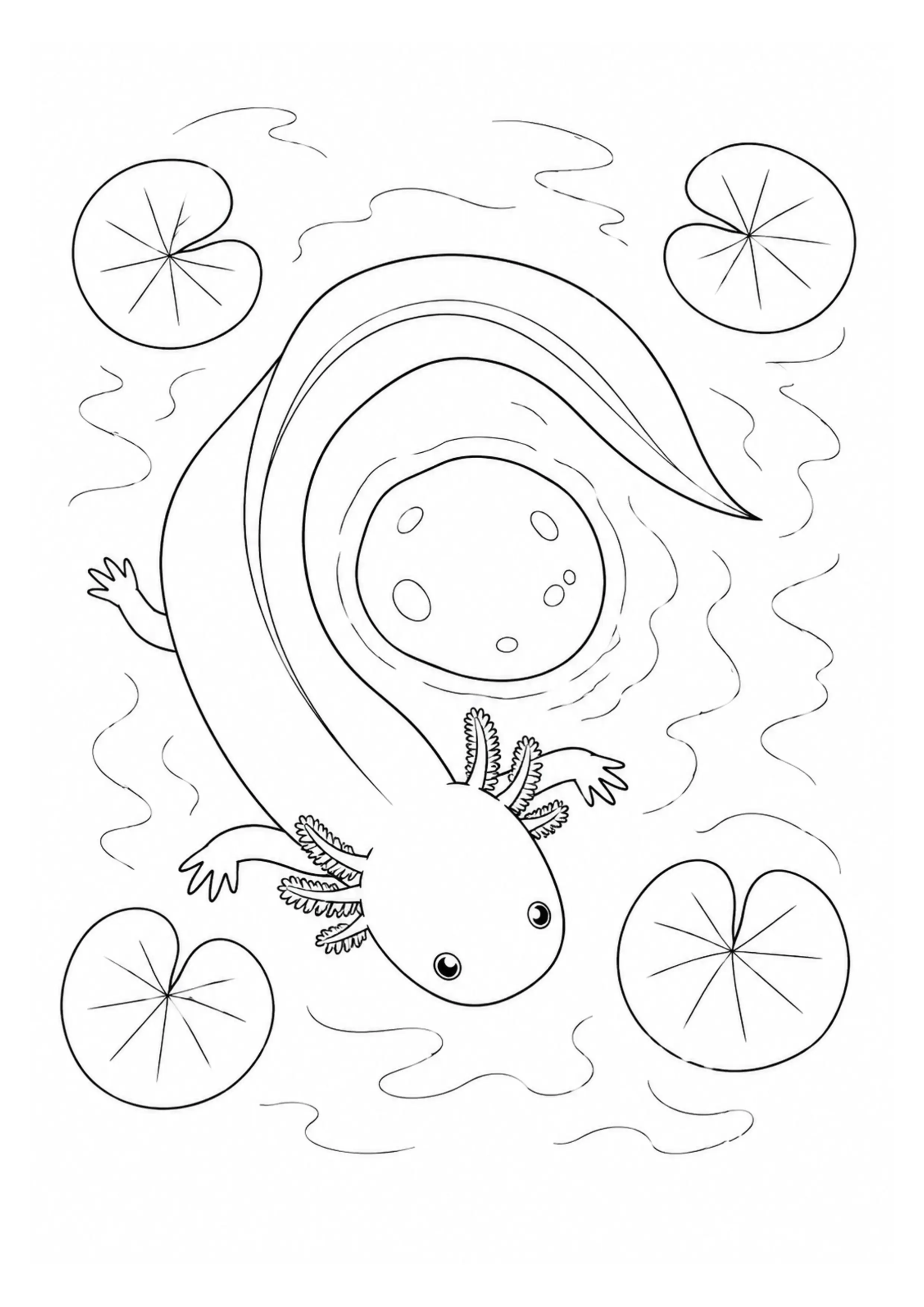 Coloriage Axolotl à imprimer – dessin n°4