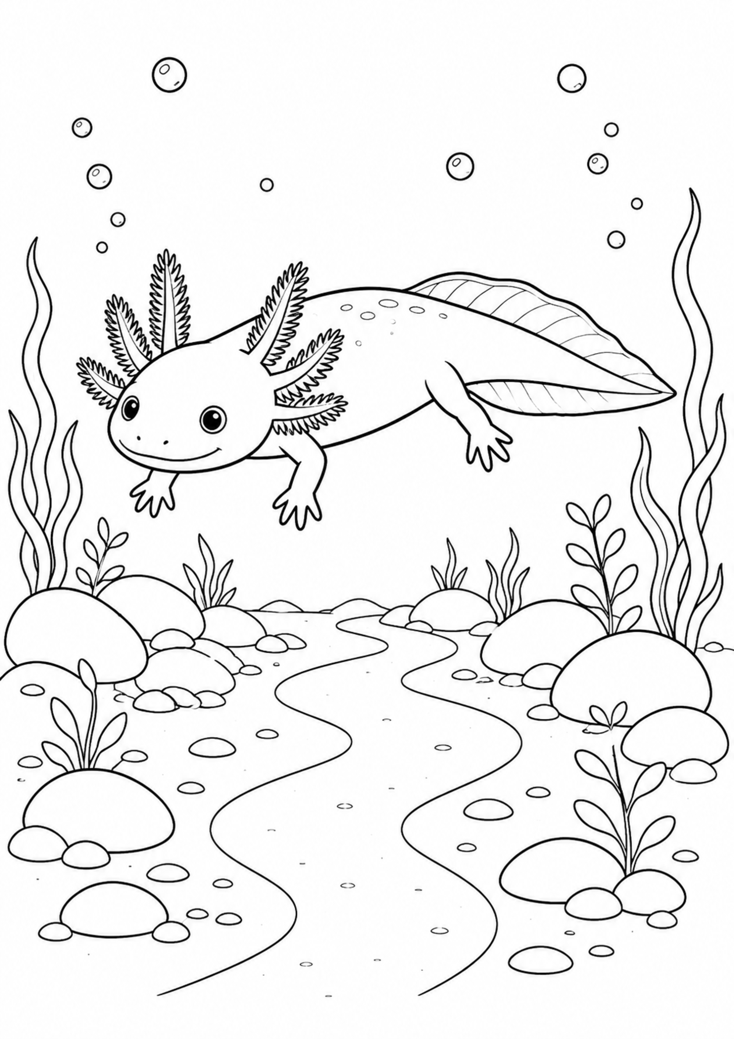 Coloriage Axolotl à imprimer – dessin n°13