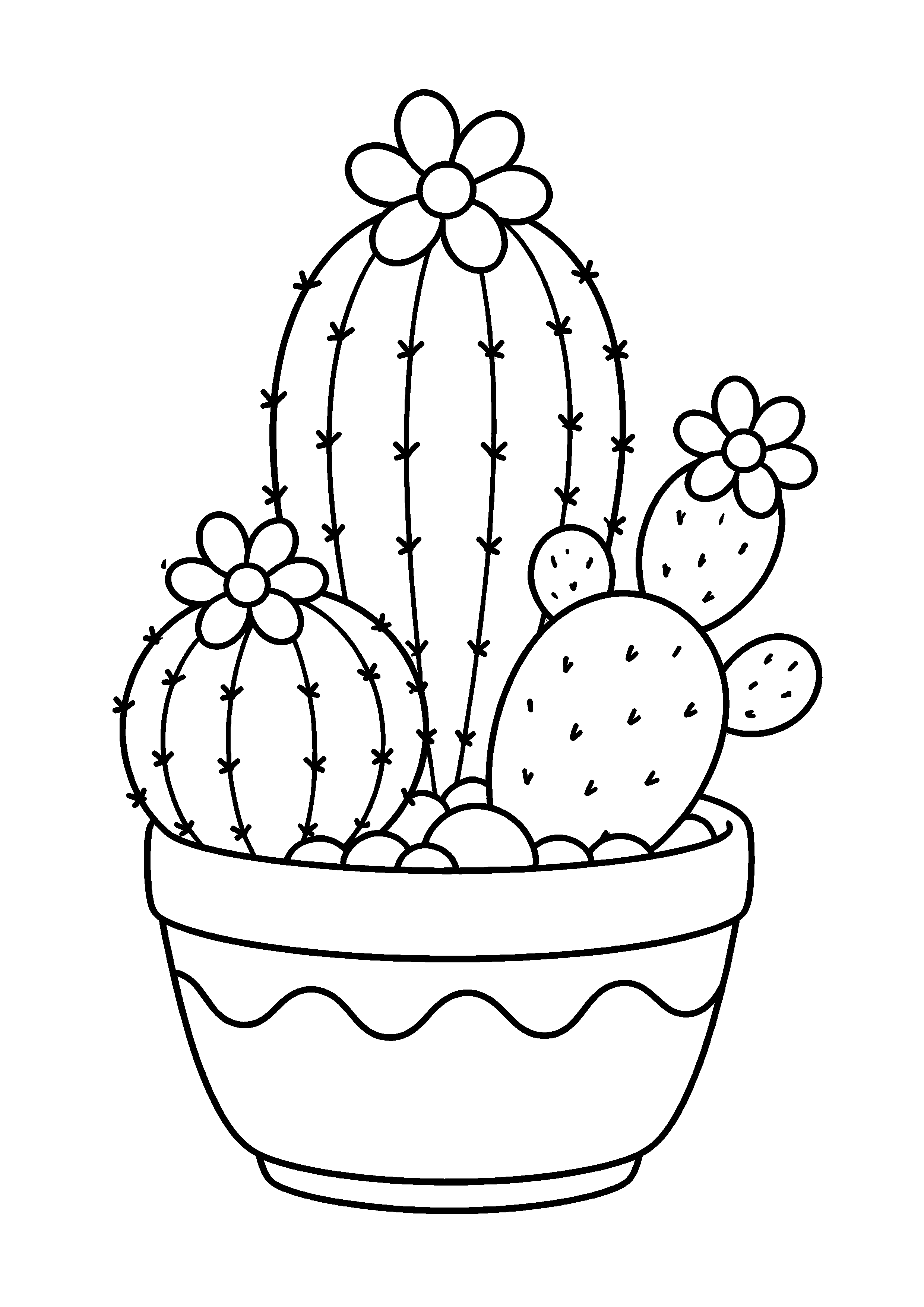 Coloriage plusieurs cactus fleuris dans un pot décoré à imprimer gratuitement