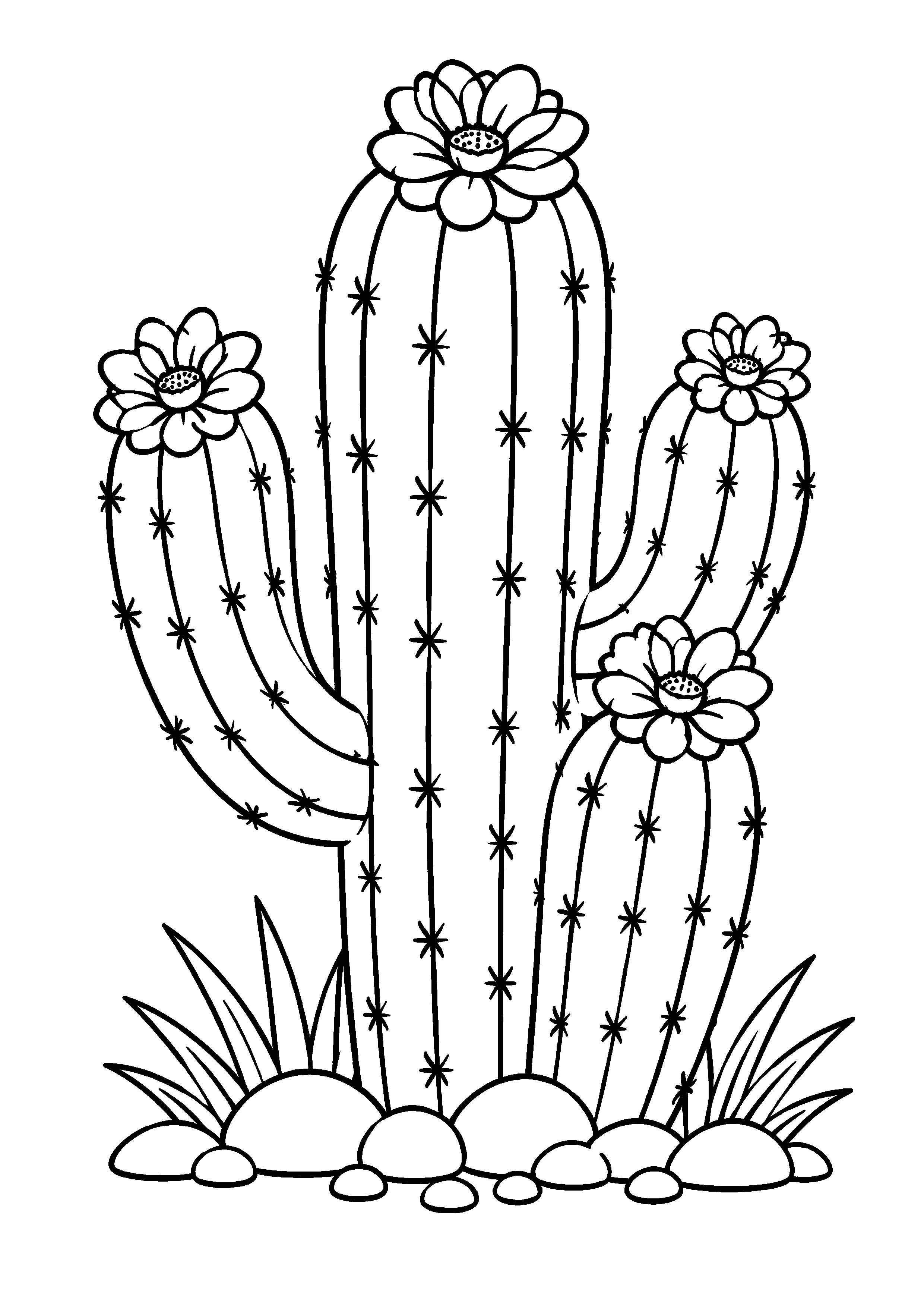Coloriage grand cactus fleuri entouré de petites plantes à imprimer gratuitement