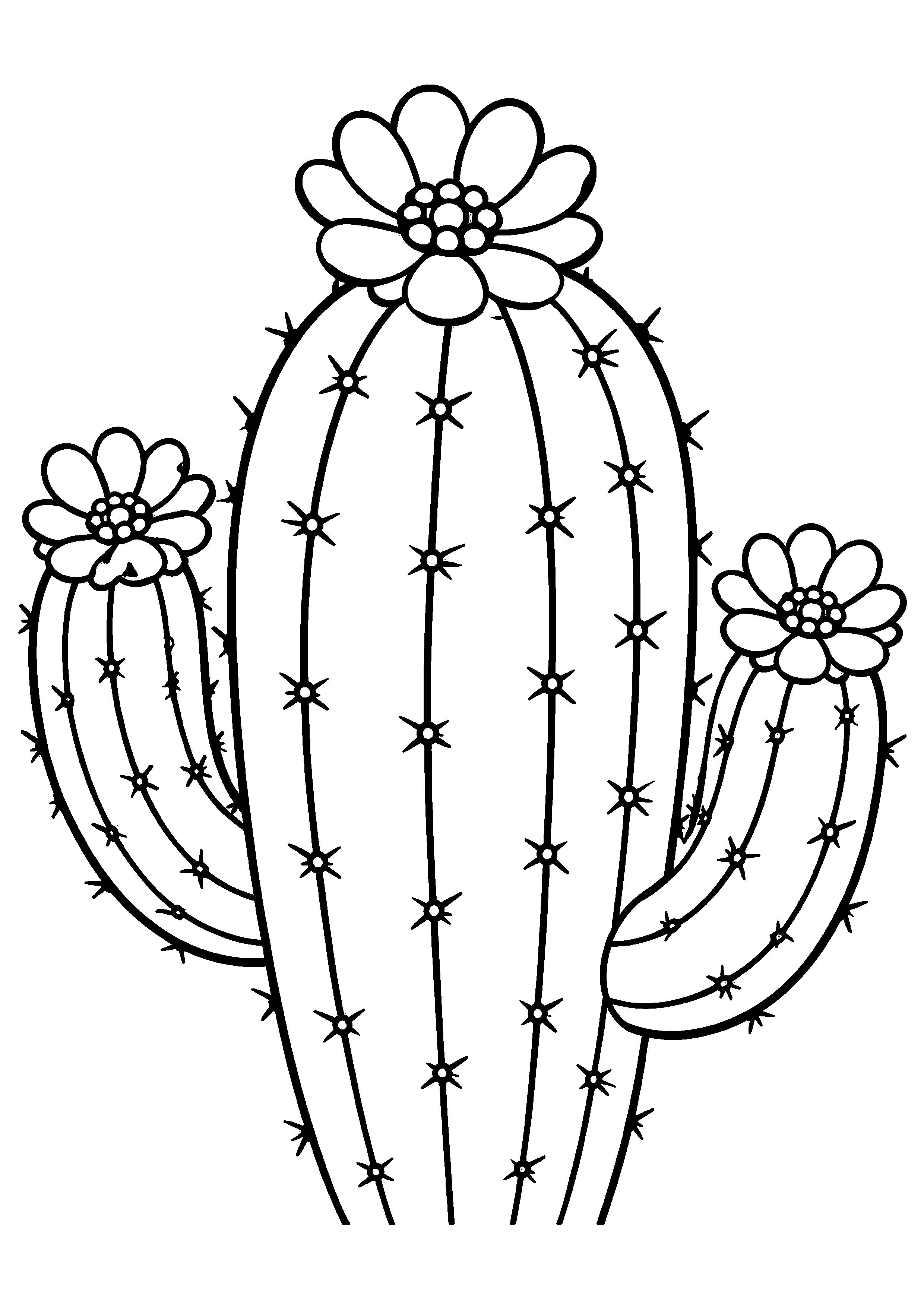 Coloriage gros cactus fleuri en gros plan à imprimer gratuitement