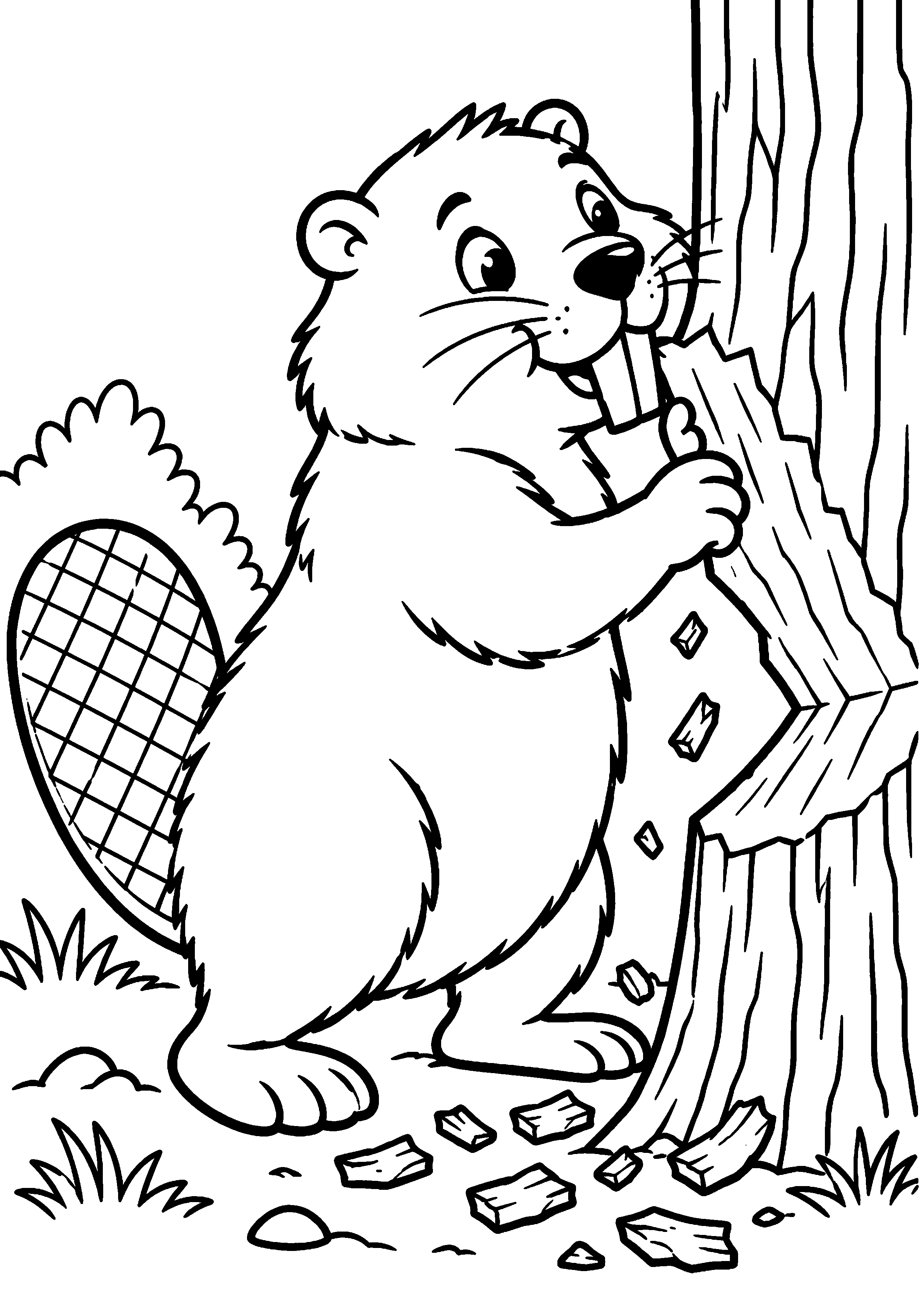 Grand coloriage d’un castor de profil marchant dans son habitat, contours noirs nets sur fond blanc