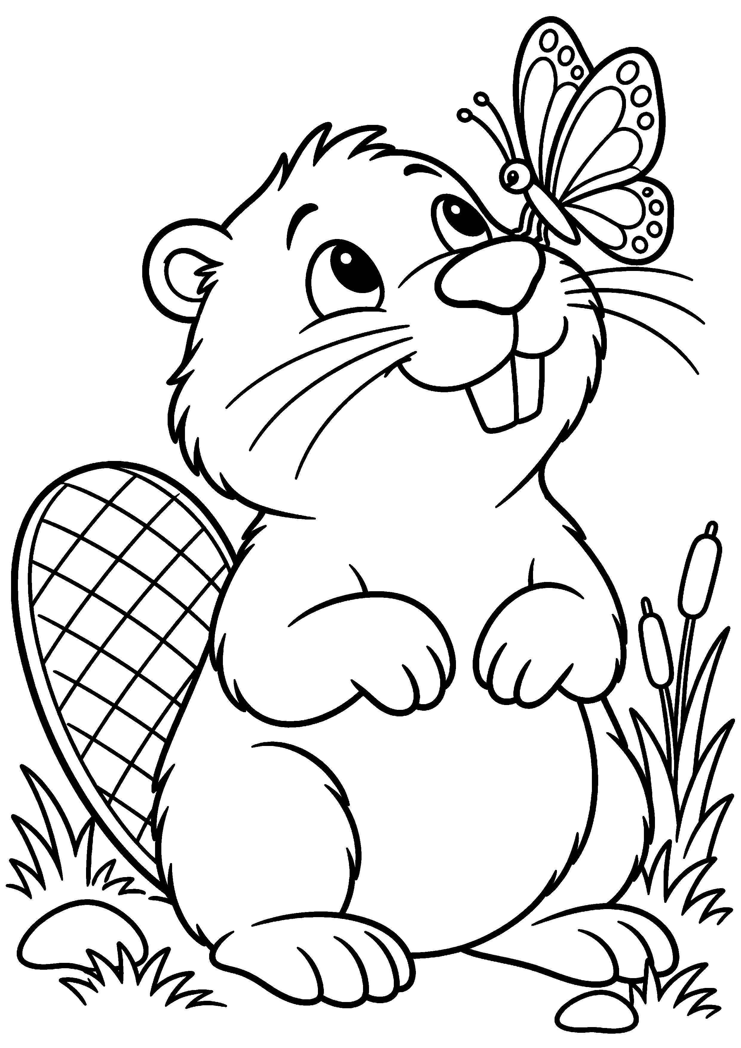 Grand coloriage d’un castor reniflant des fleurs sauvages, contours noirs nets sur fond blanc