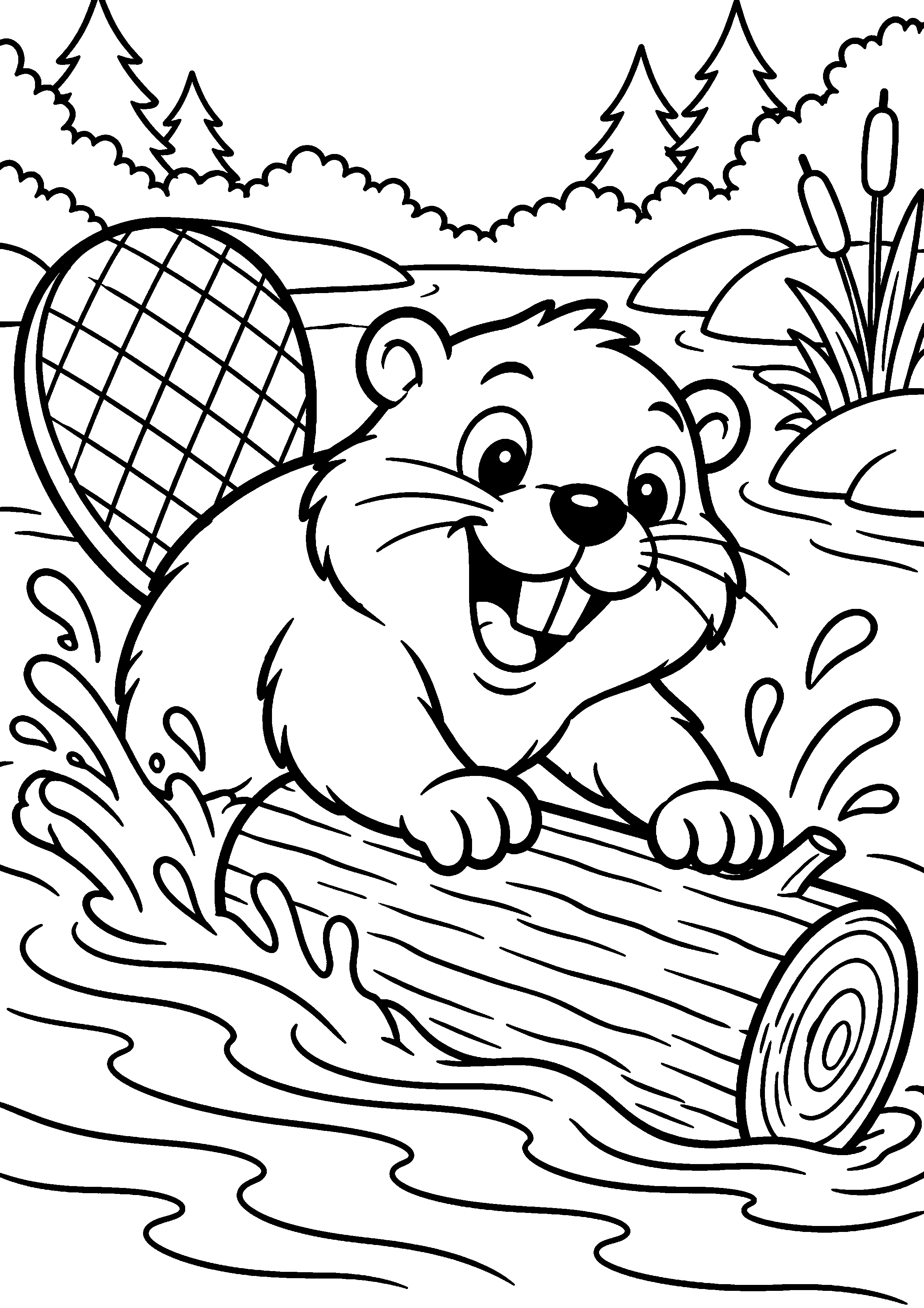 Grand coloriage d’un castor faisant sa toilette, contours noirs nets sur fond blanc