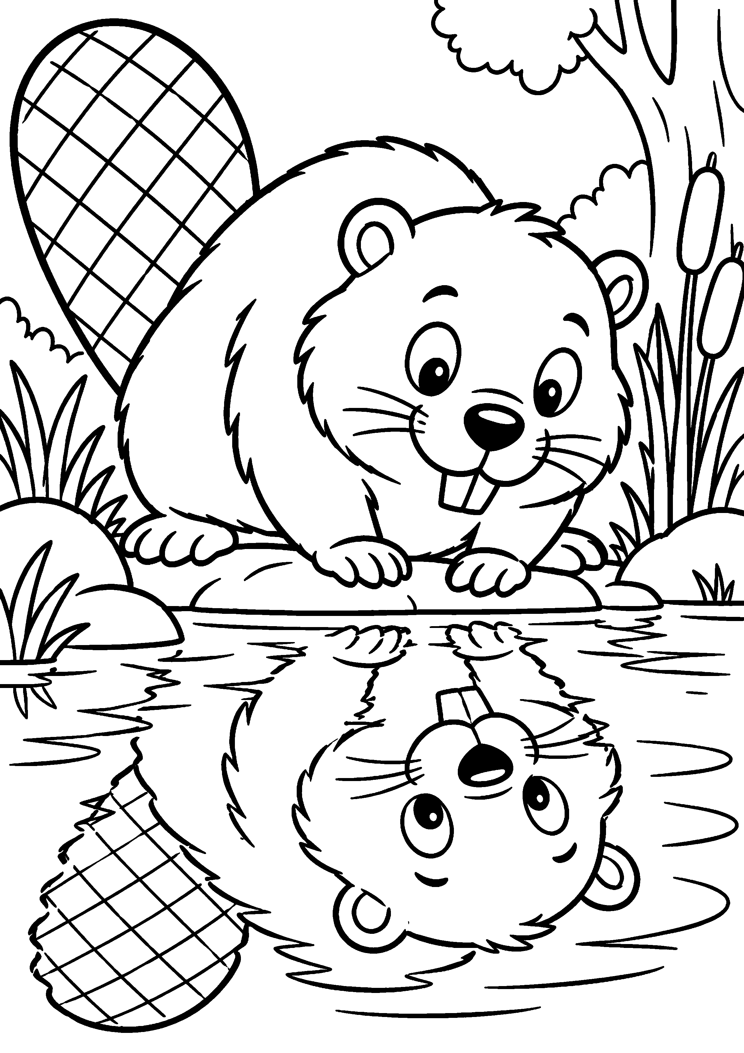 Grand coloriage d’un castor roulé en boule pour dormir, contours noirs nets sur fond blanc